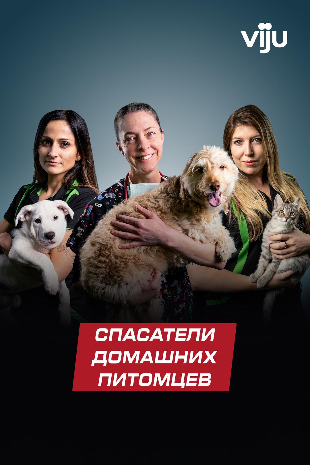 Спасатели домашних питомцев