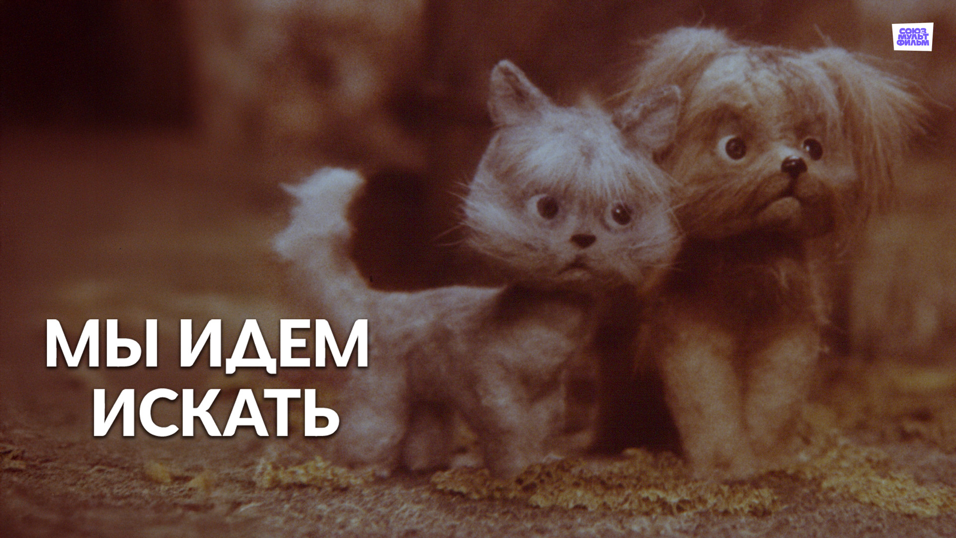 постер фильма Мы идём искать