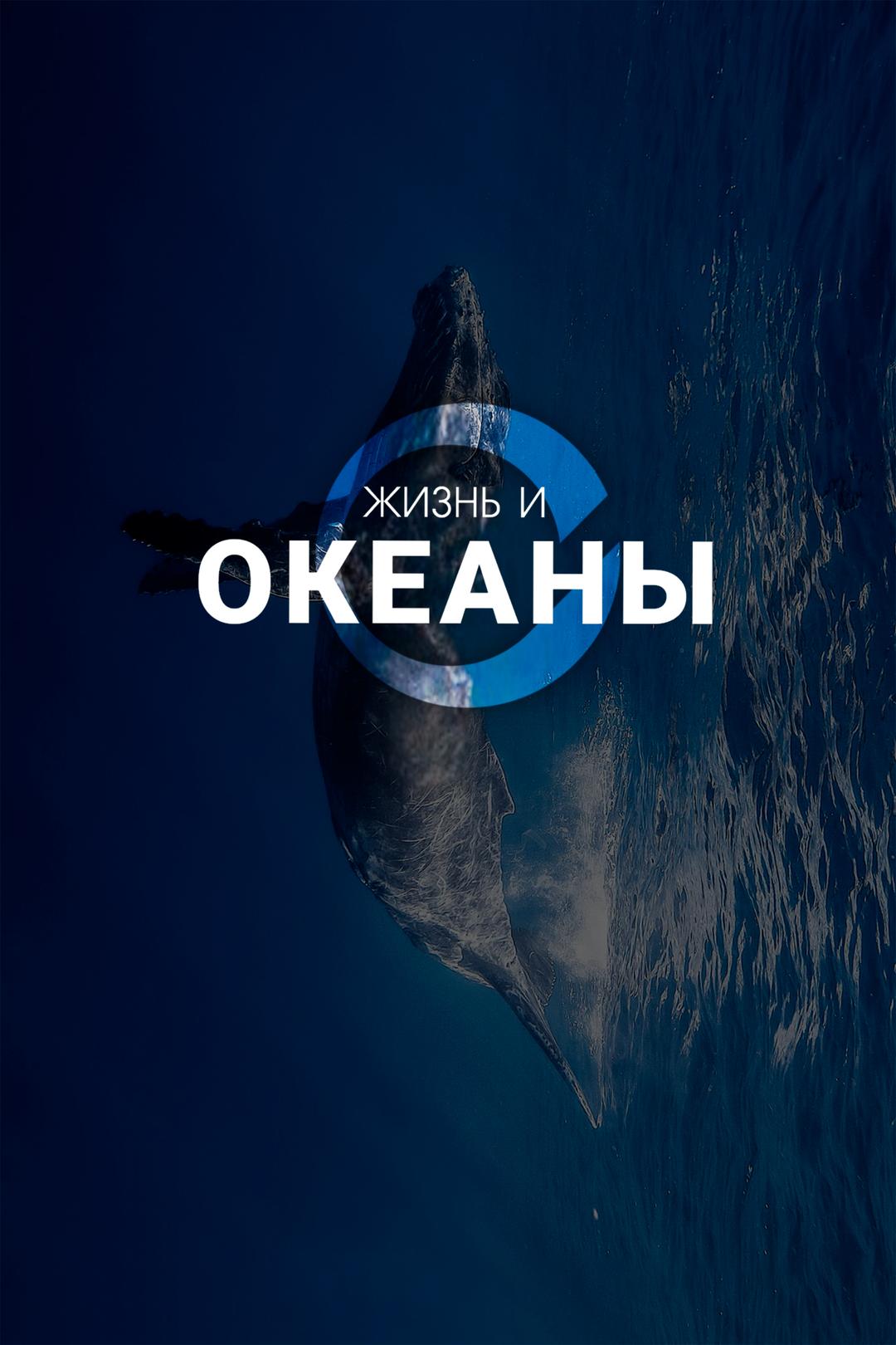 Жизнь и Океаны