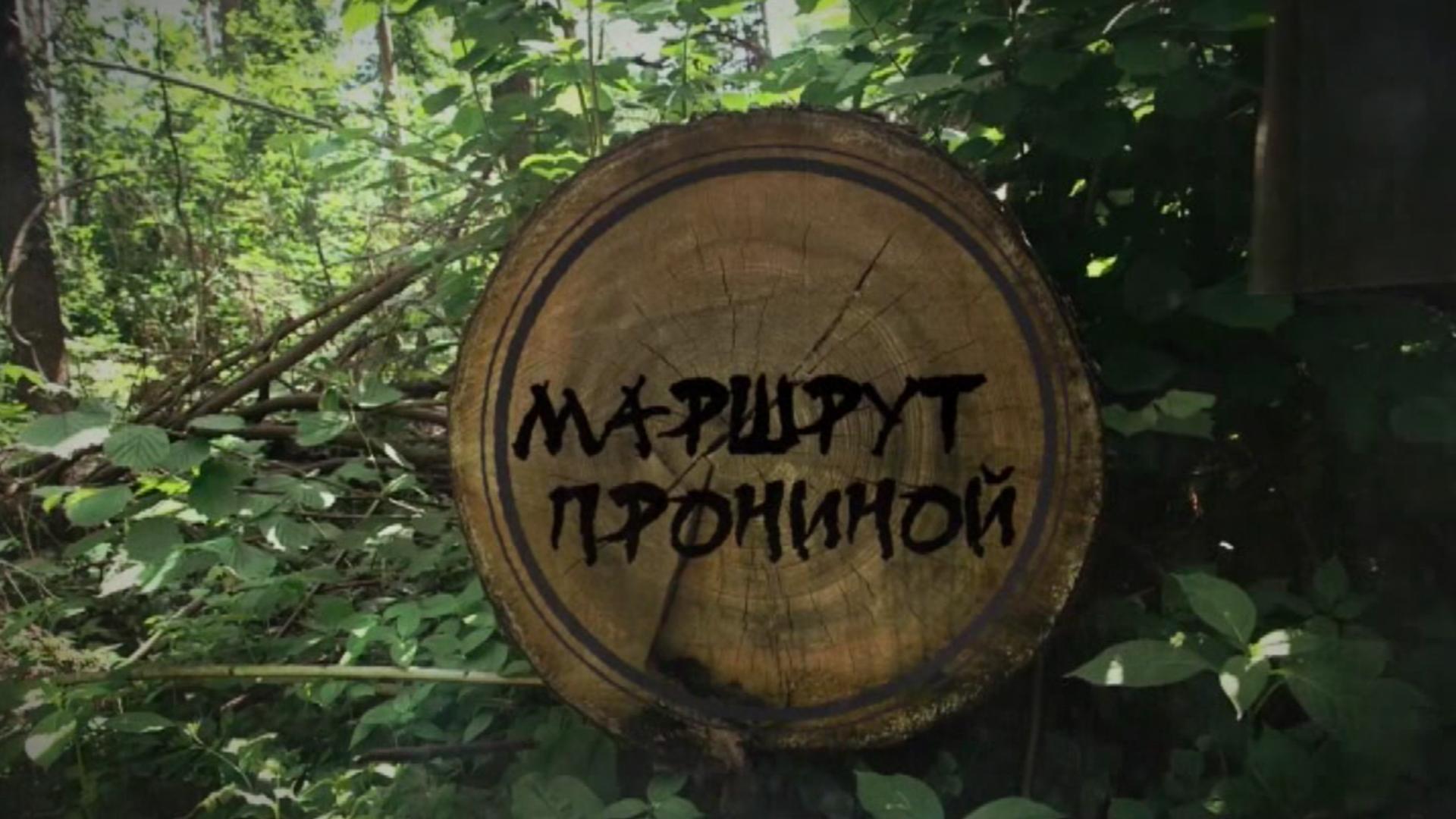 Маршрут Прониной