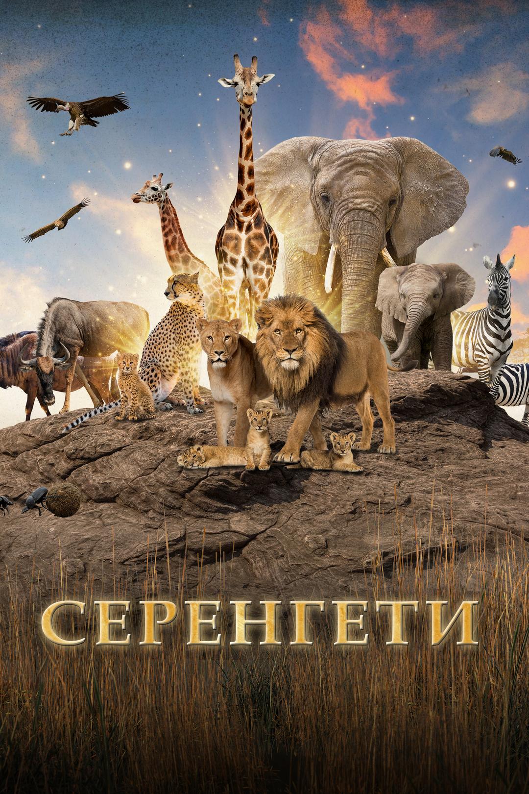 Серенгети