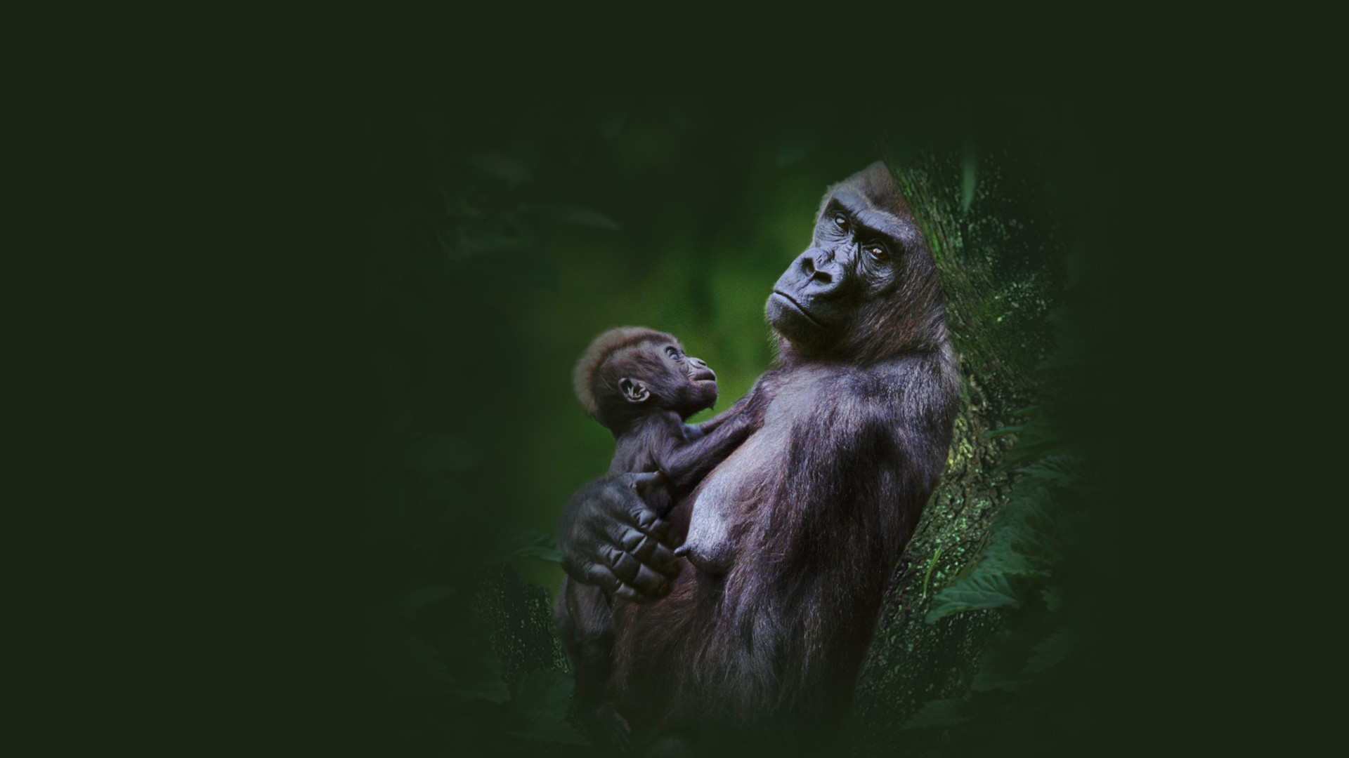 Доставлять эстетическое удовольствие. Доставлять эстетическое удовольствие. Доставлять эстетическое удовольствие. Целесообразность в природе. Эстетическое чувство в искусстве.