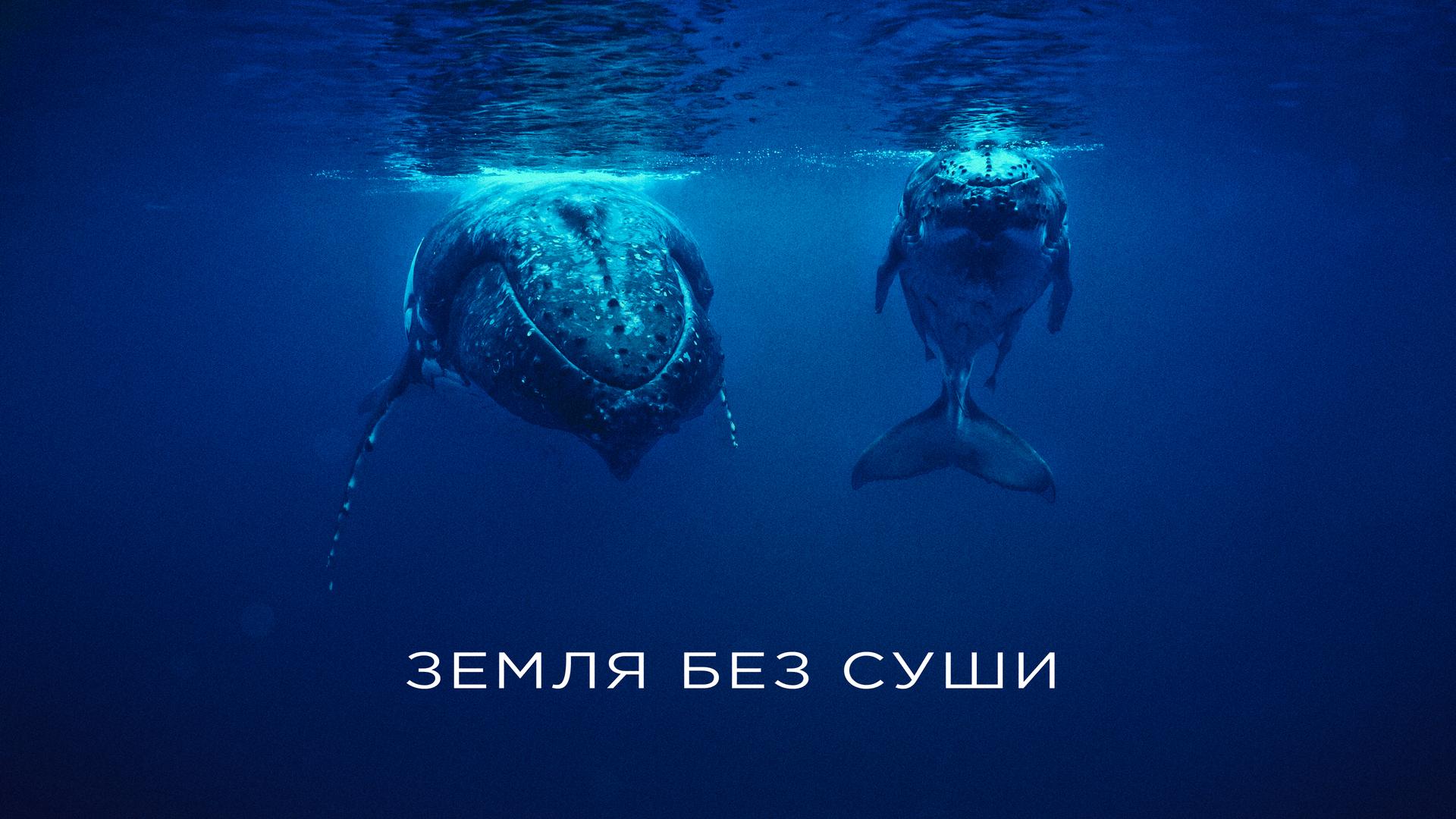 Земля без суши