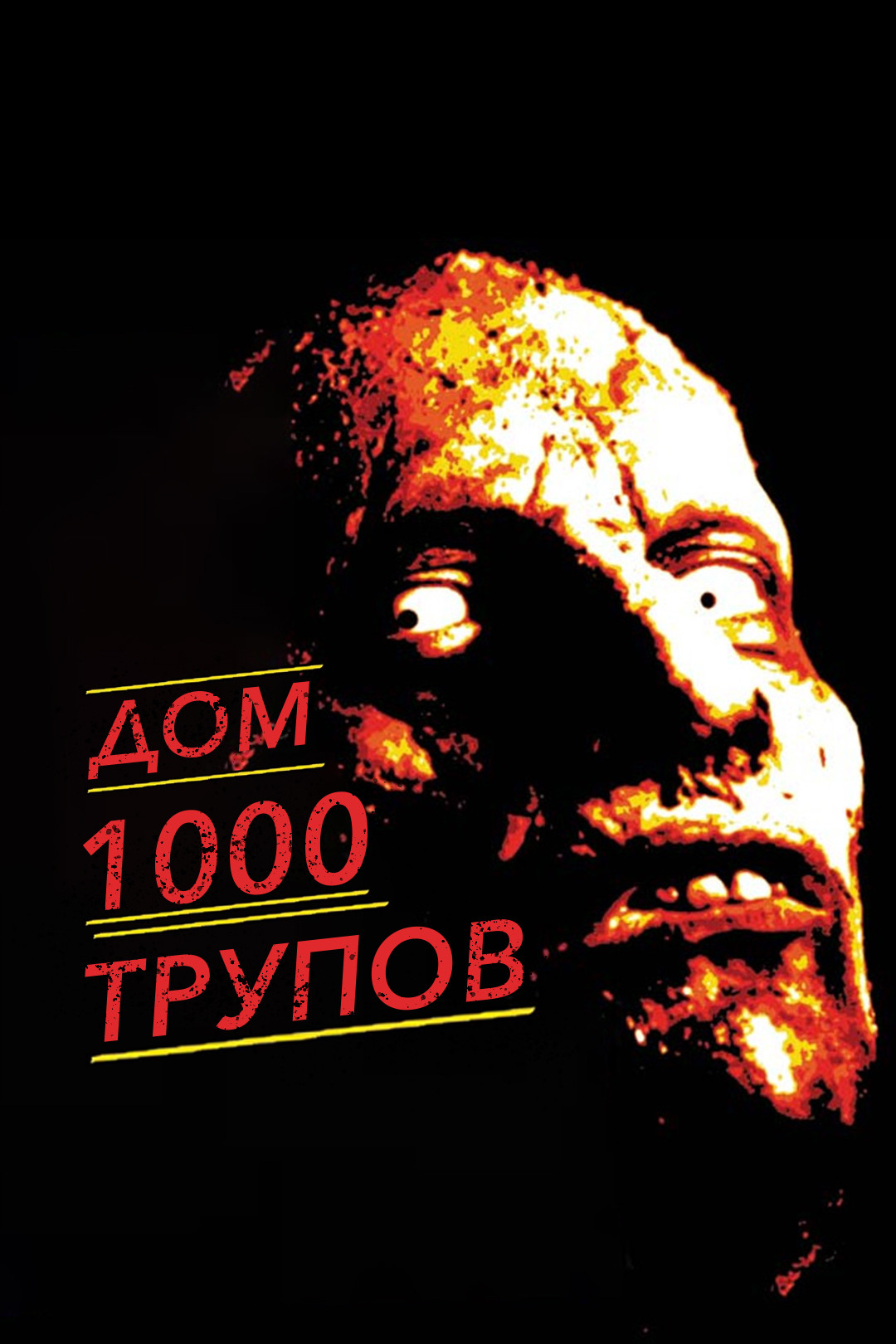 Дом 1000 трупов (фильм, 2003) смотреть онлайн в хорошем качестве HD (720) /  Full HD (1080)