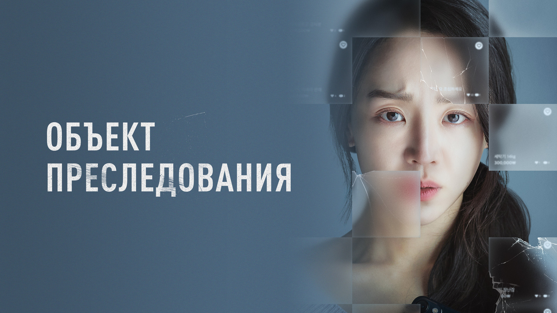 постер фильма Объект преследования