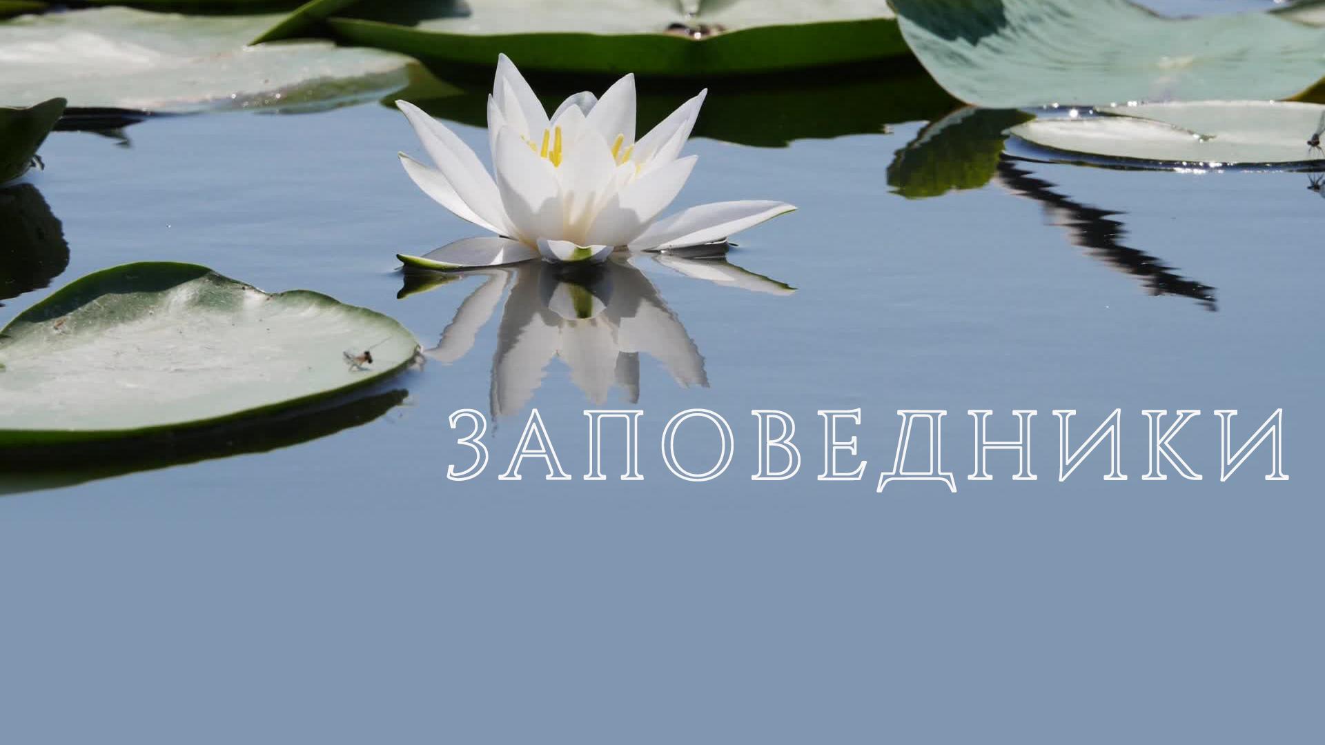 Заповедники