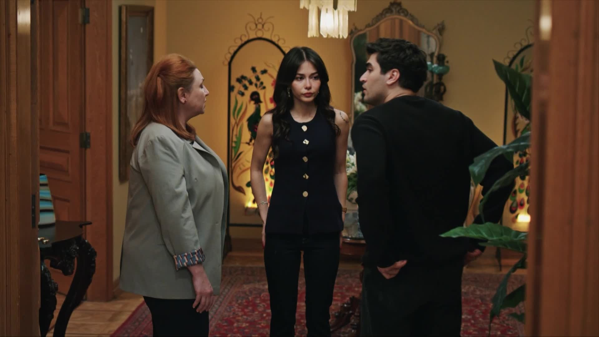 Зимородок 3 сезон 25 серия