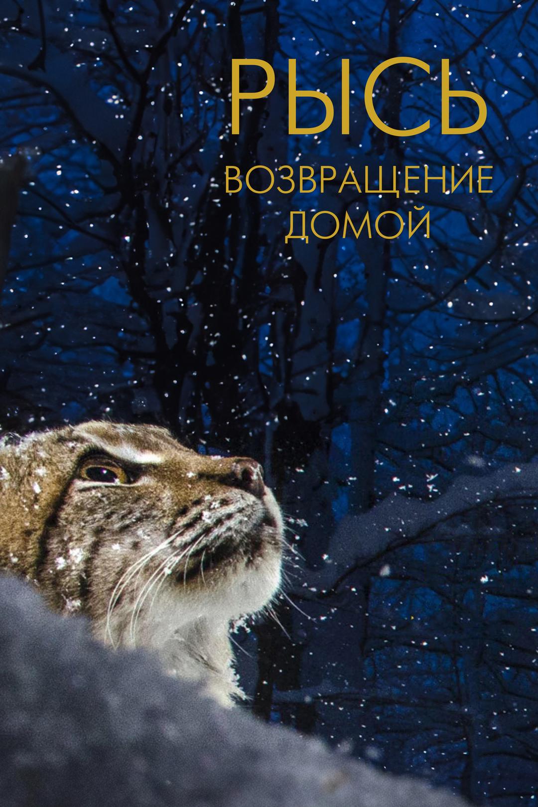 Рысь. Возвращение домой