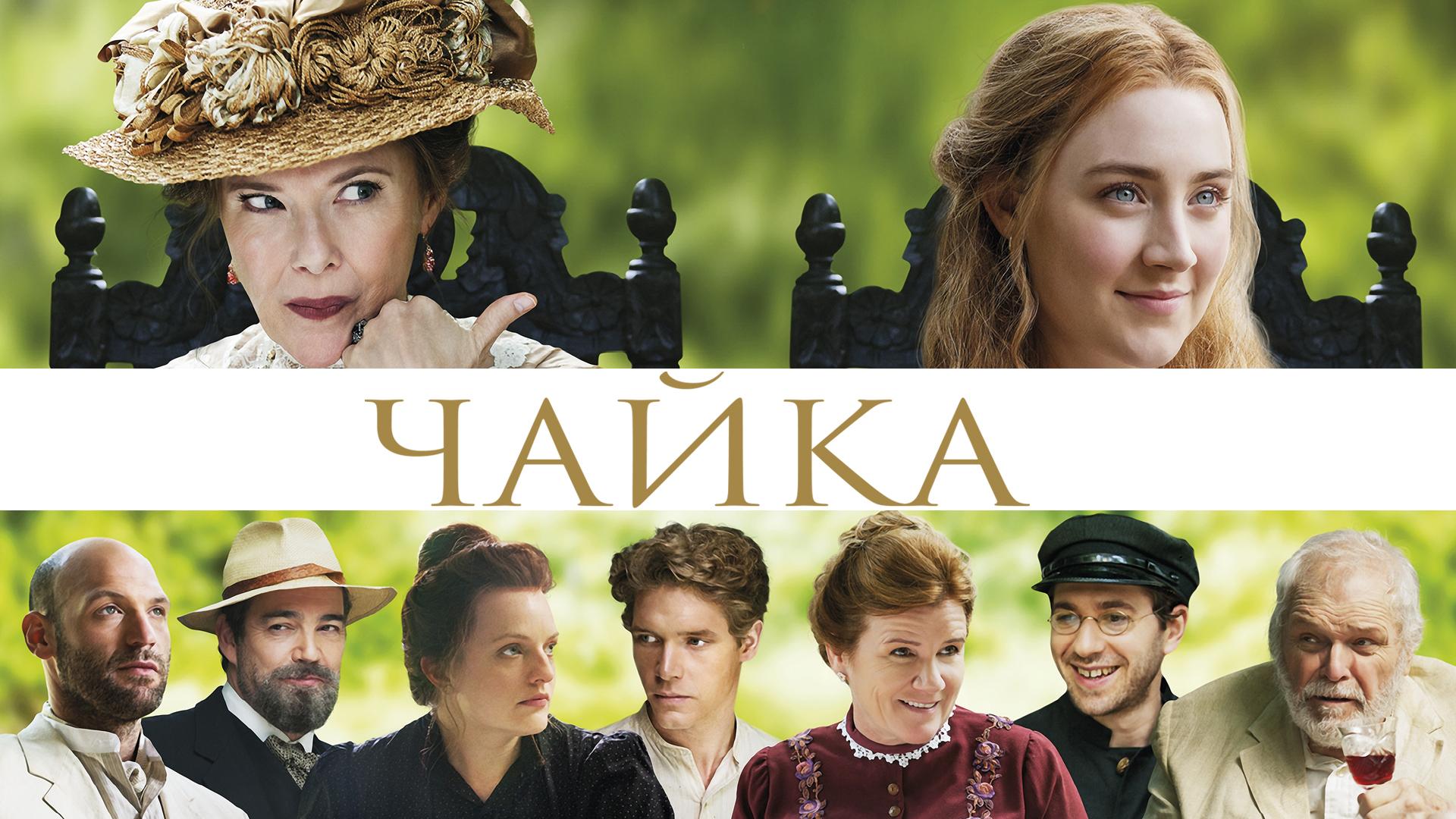 Чайка
