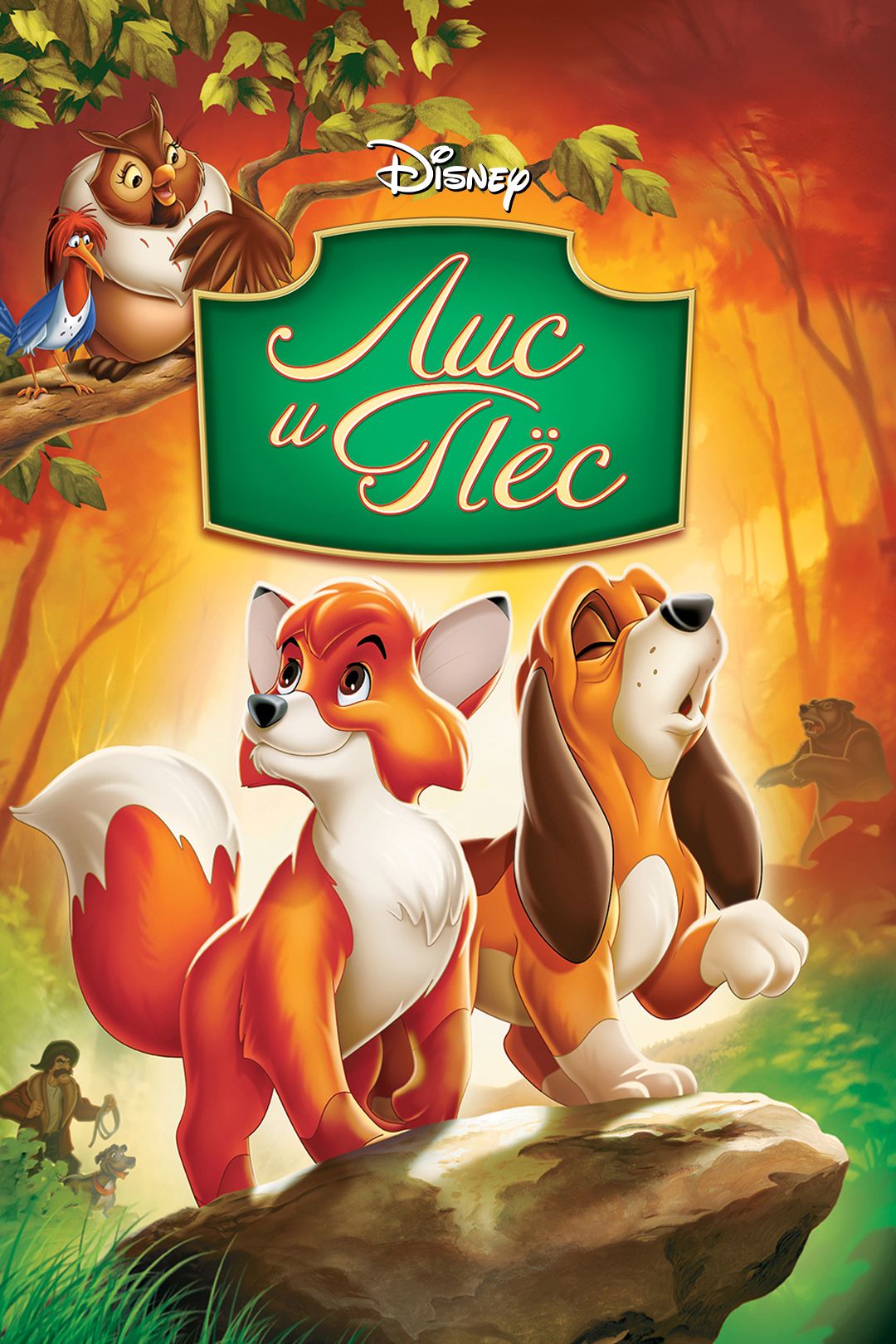 Жыныстық қатынас үшін арнайы бөлме