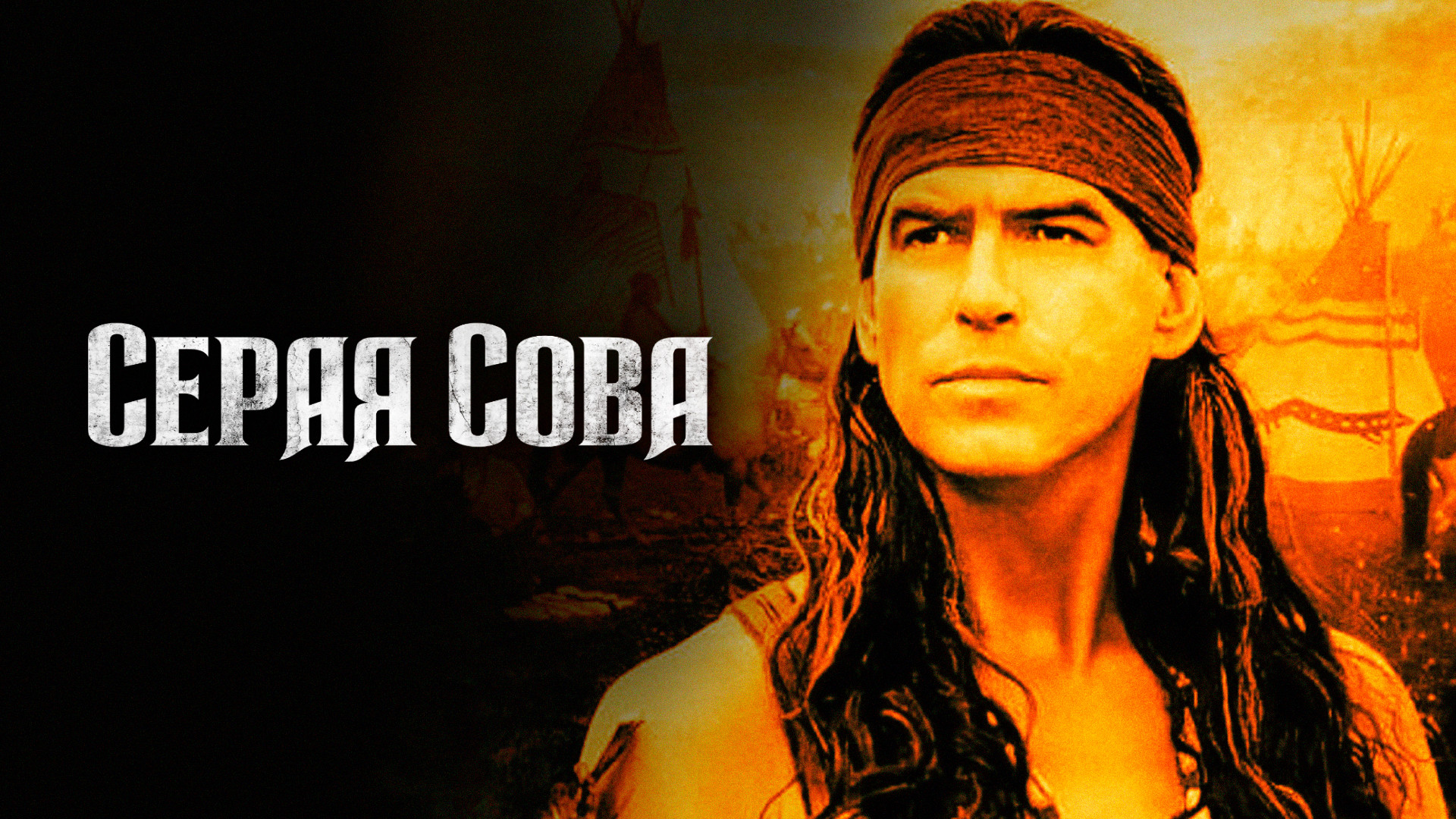 Серая сова