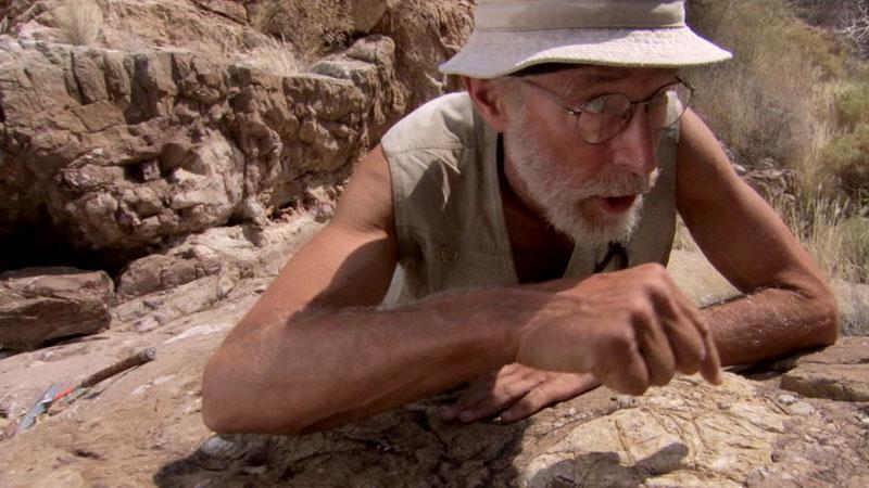 BBC: Земля: Мощь планеты