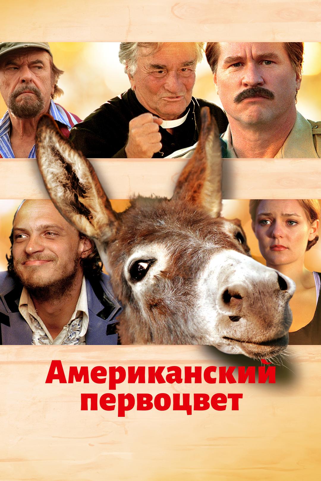 Американский первоцвет