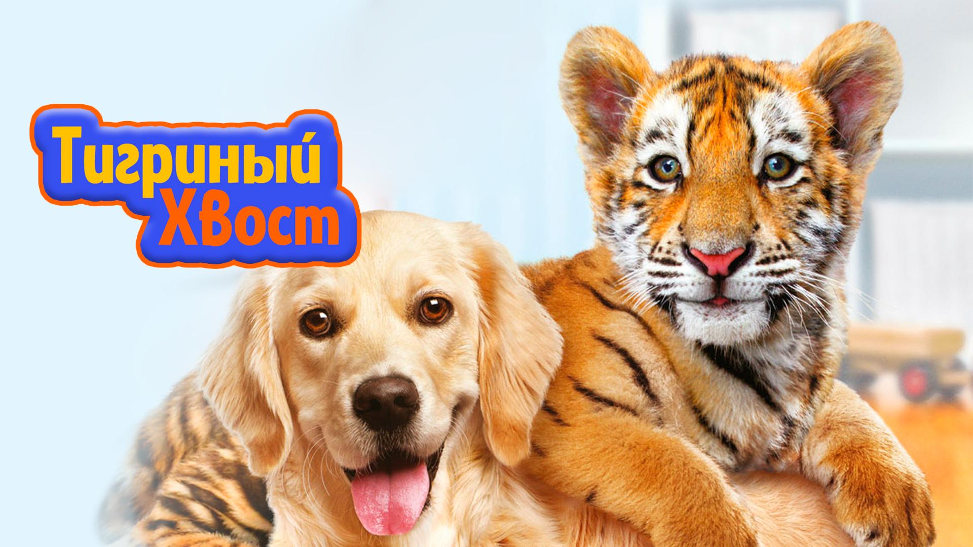Тигриный хвост