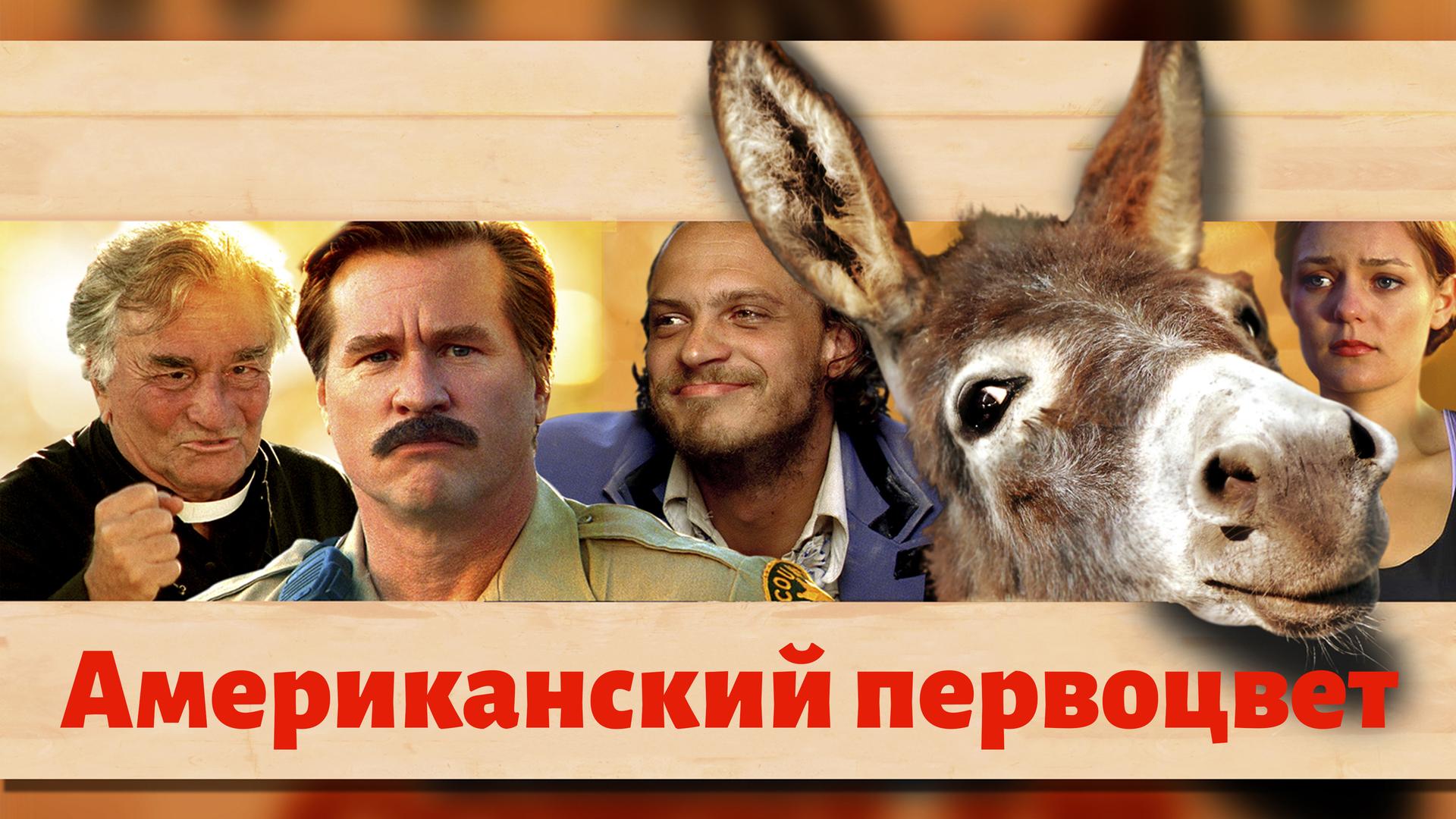 Американский первоцвет
