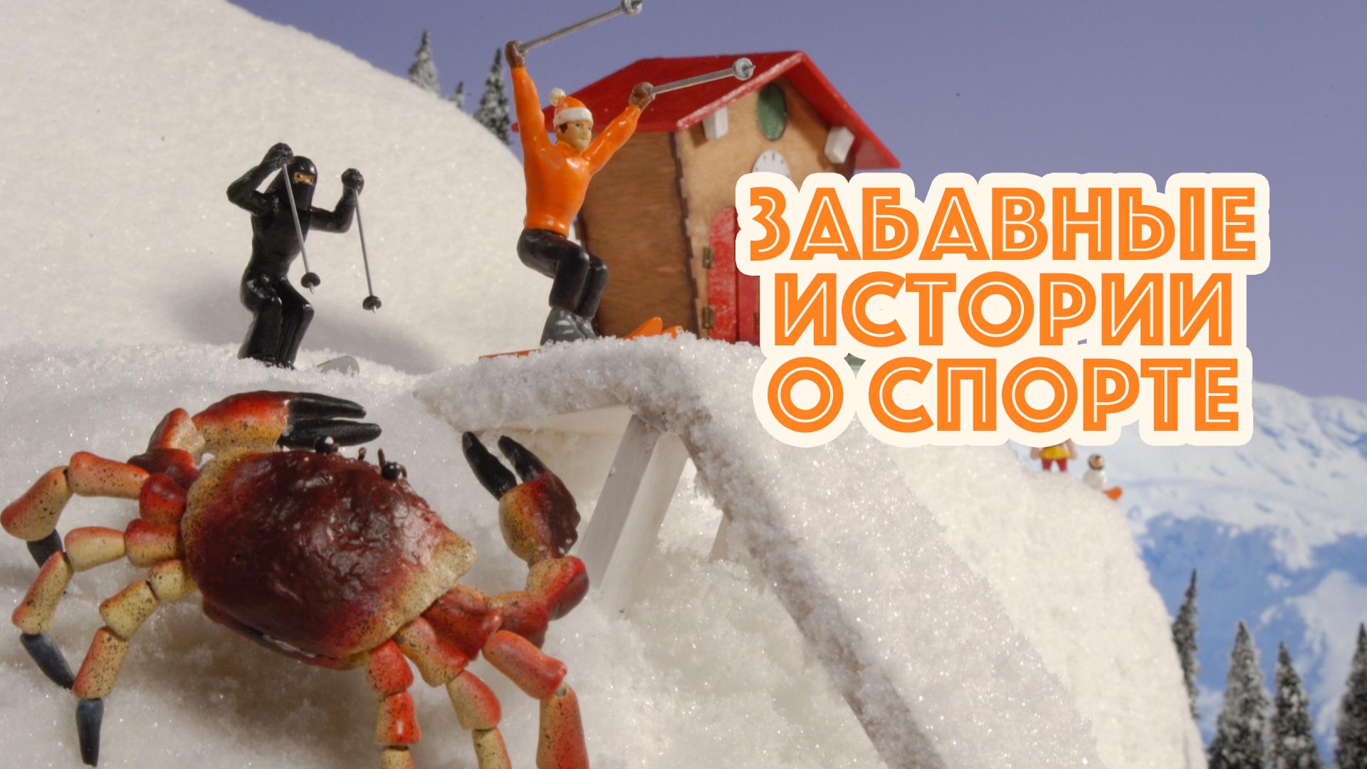 Забавные истории о спорте