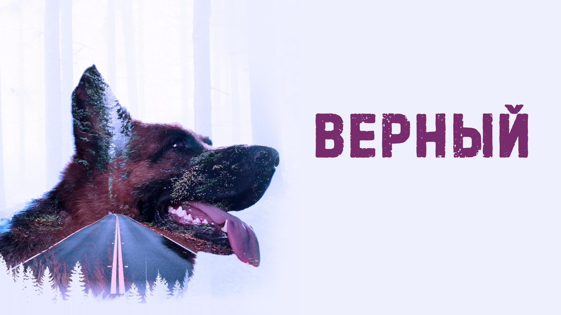 Верный