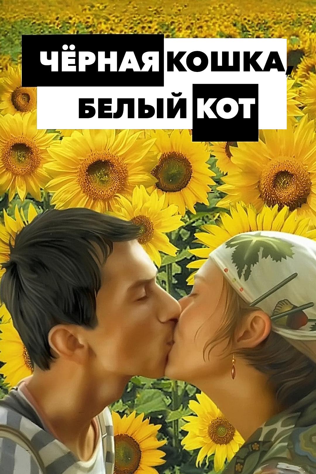 Чёрная кошка, белый кот