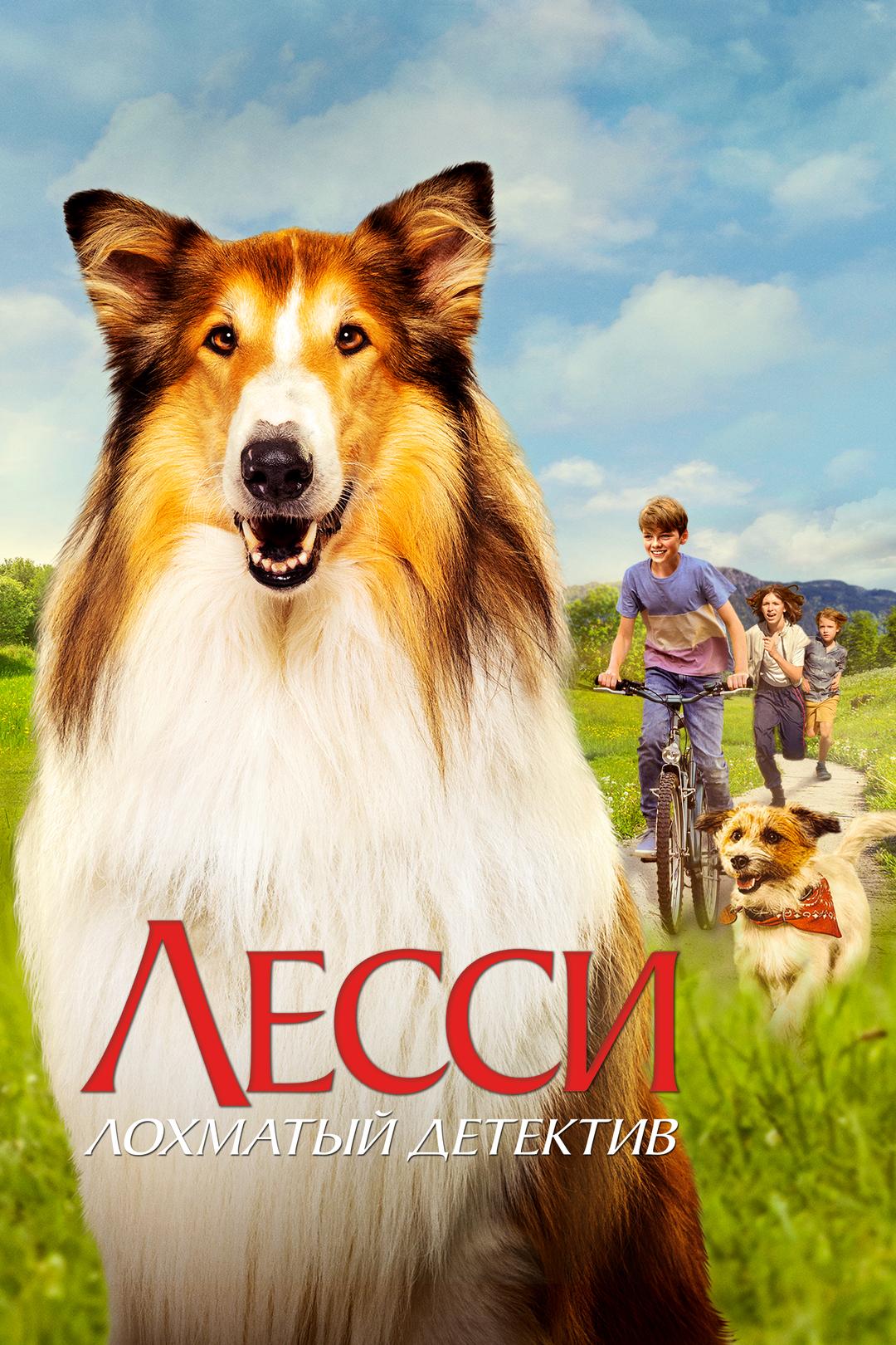 Лесси — лохматый детектив
