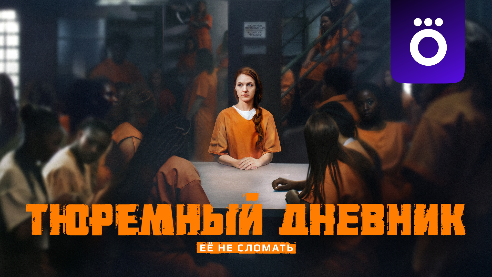 Тюремный дневник