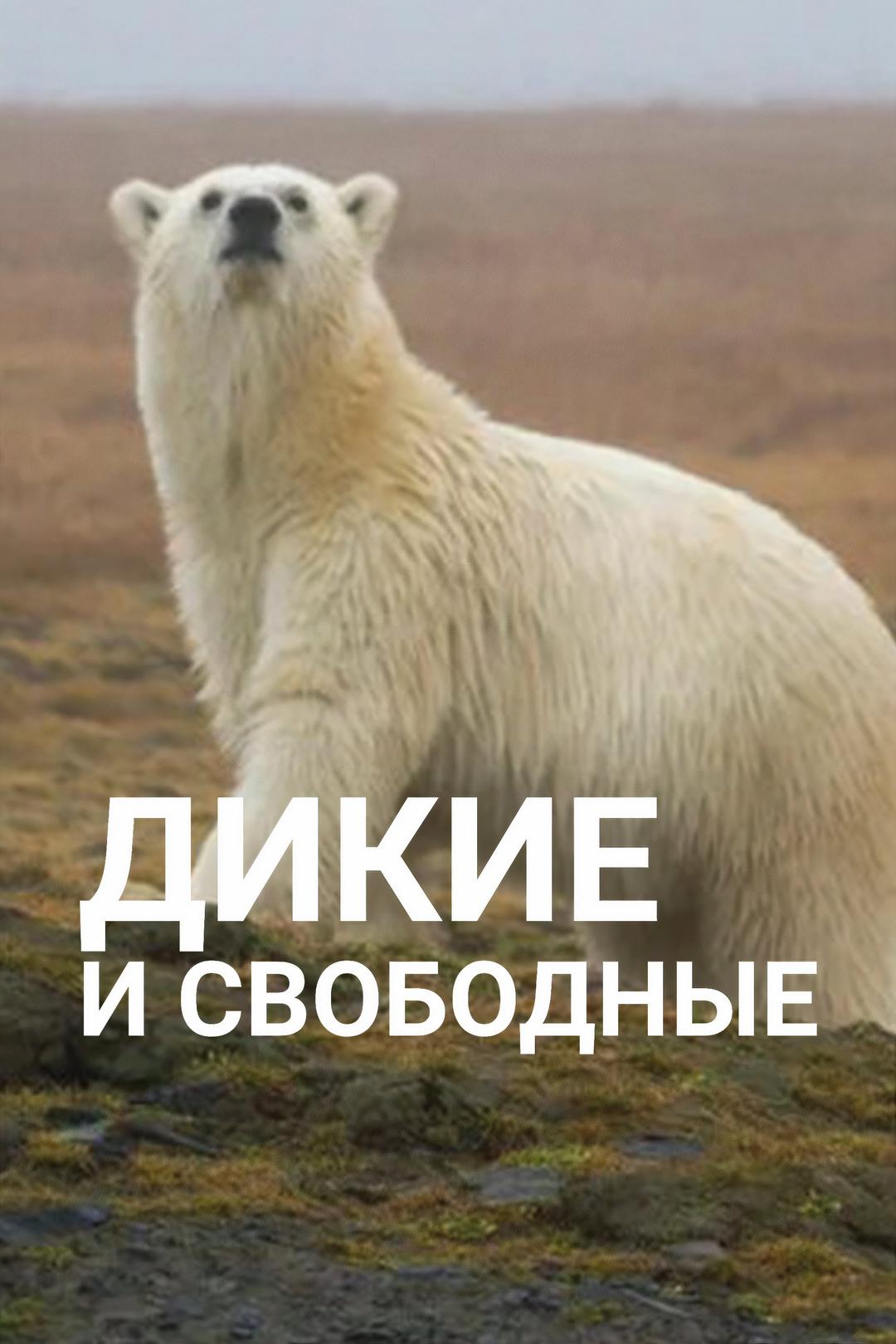 Дикие и свободные