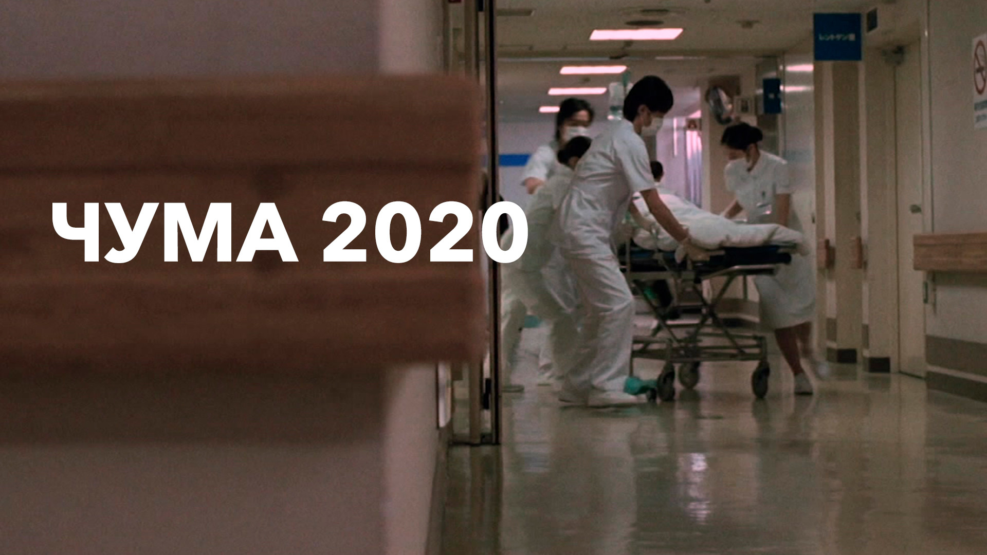 Комедия чума 2020. Чуму 2020 года. Бубонная чума в монголии 2020. Чуму 2020 года. Чуму 2020 года.