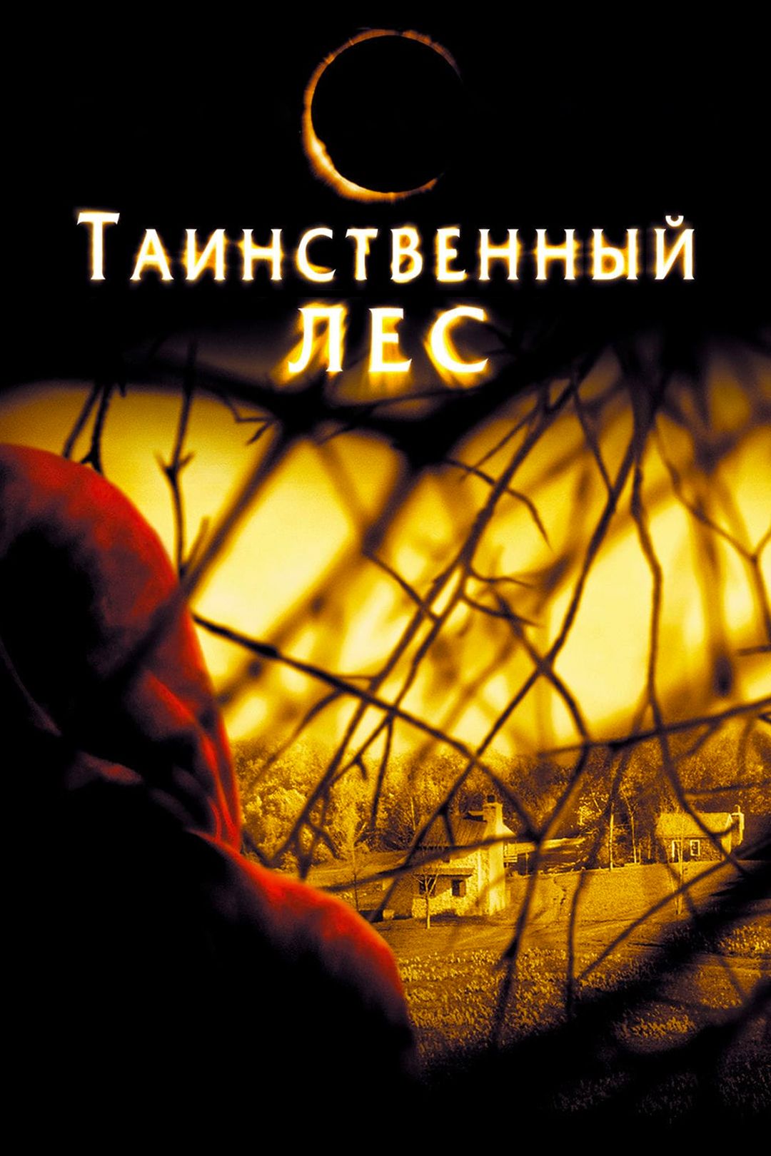 Таинственный лес (фильм, 2004) смотреть онлайн в хорошем качестве HD (720)  / Full HD (1080)