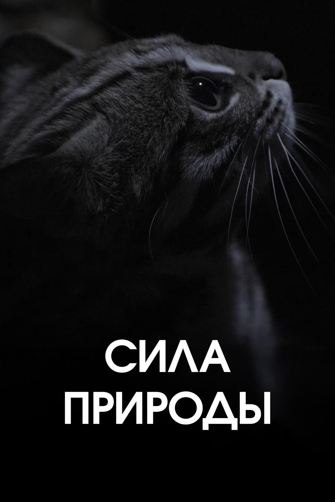 Сила природы