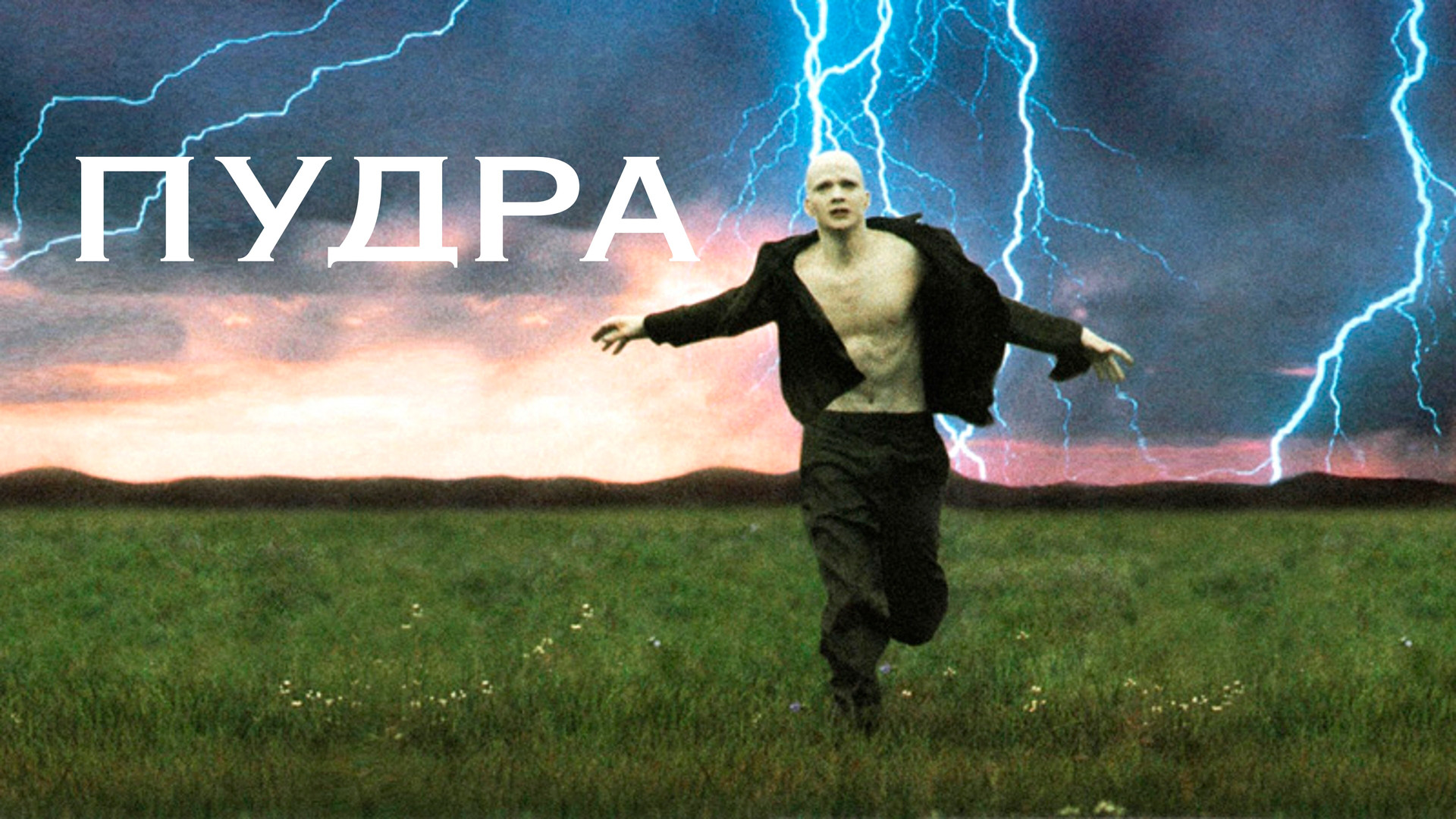 Пудра