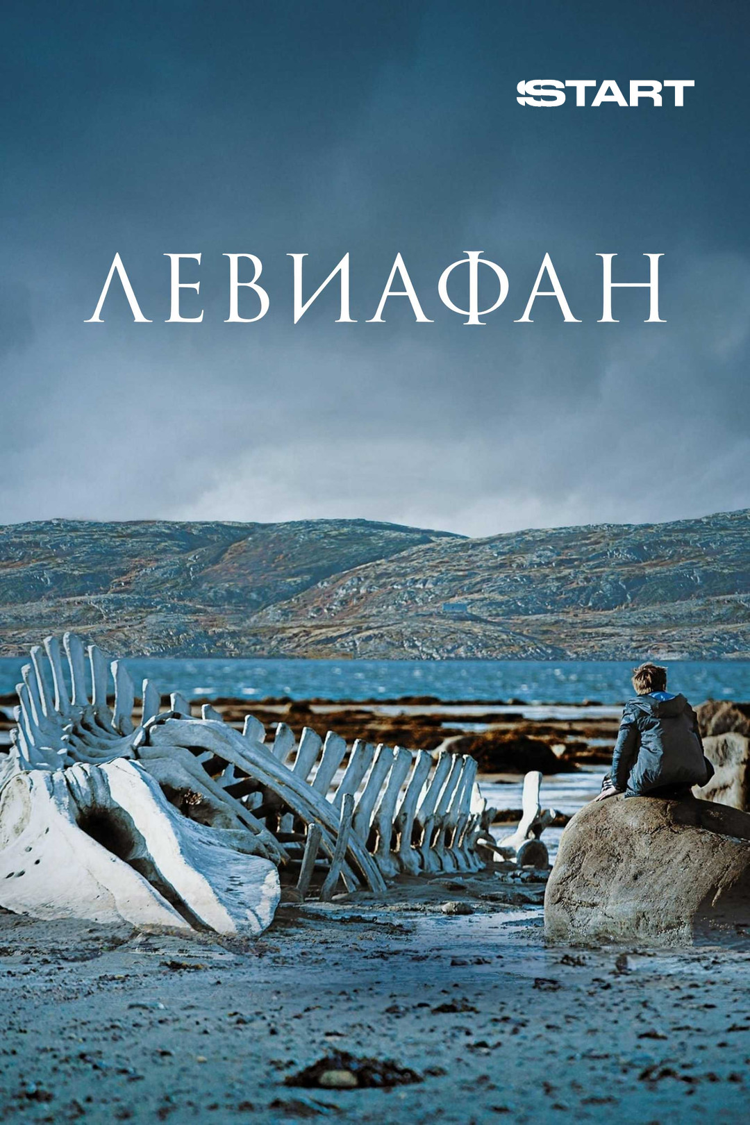 Левиафан (фильм, 2014) - отзывы и рецензии