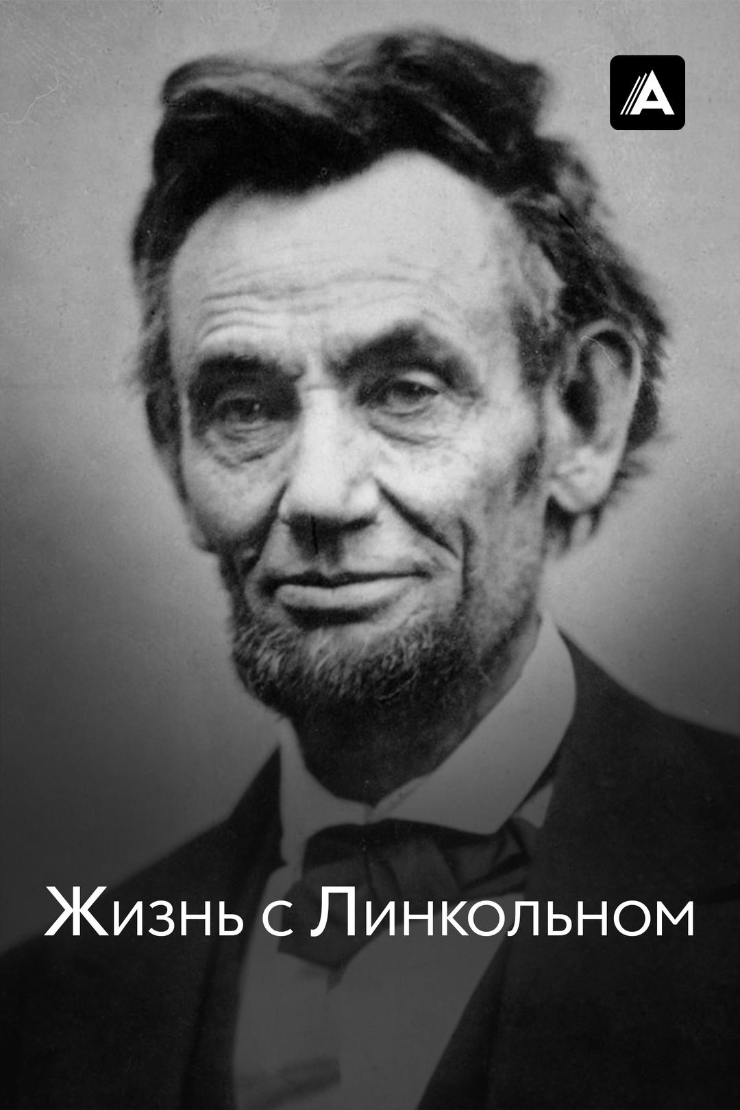 Жизнь с Линкольном