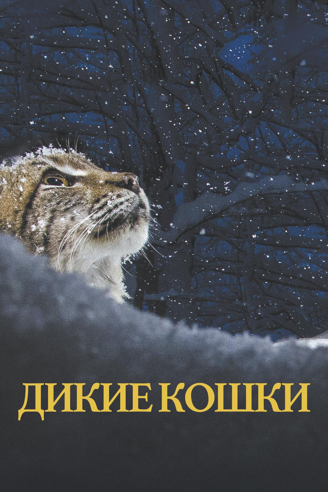 Дикие кошки