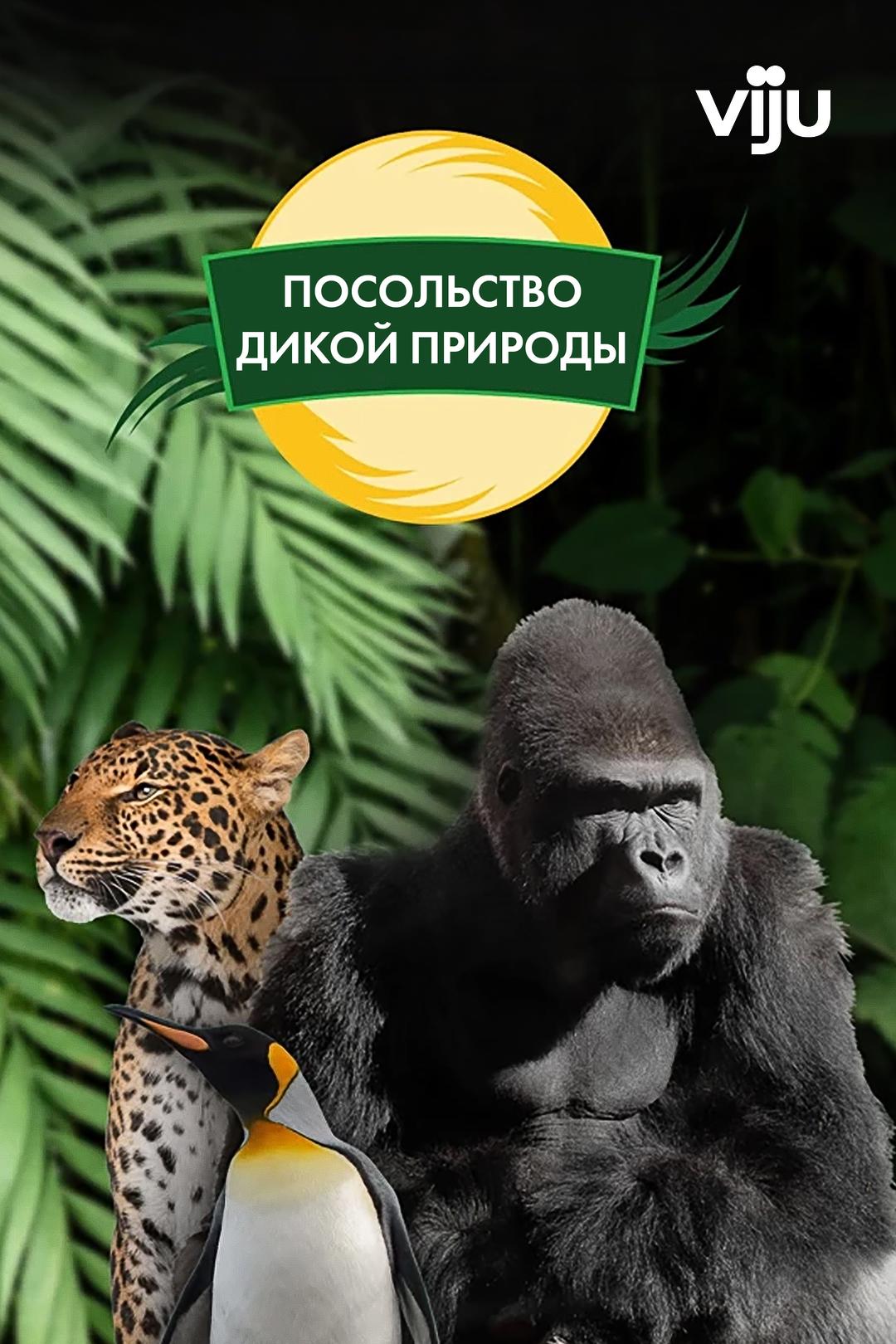 Посольство дикой природы
