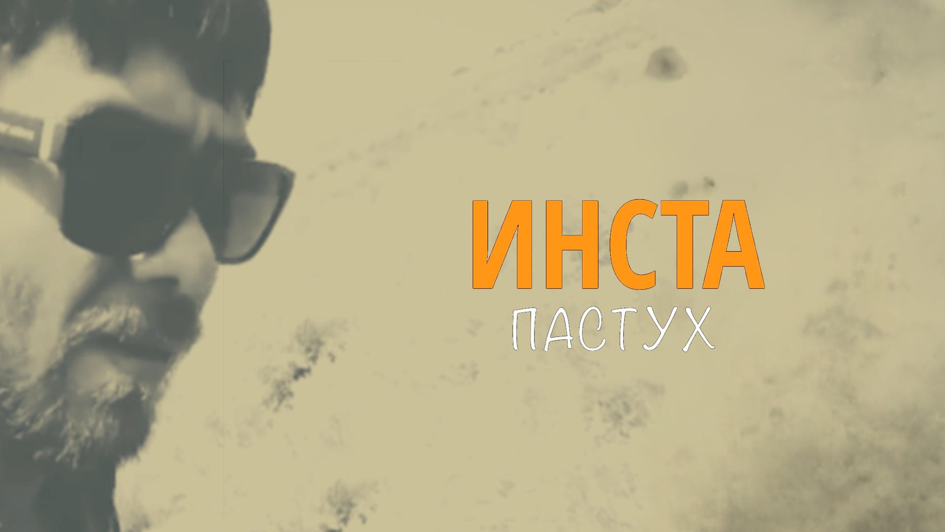 Инста-пастух