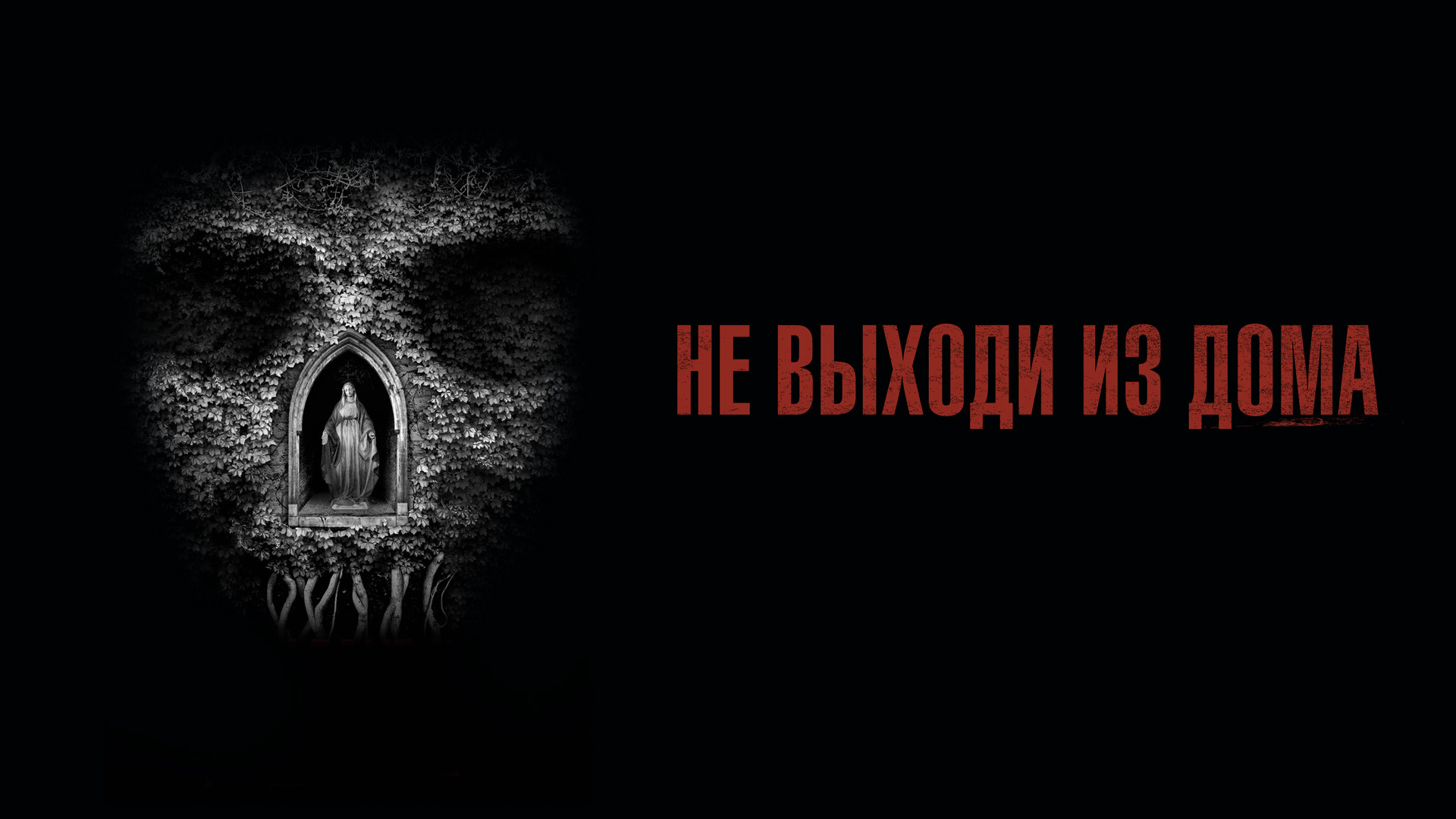 Не выходила из дома 10 лет. Не выходила из дома 10 лет. Не выходила из дома 10 лет. Не выходила из дома 10 лет. Не выходила из дома 10 лет.