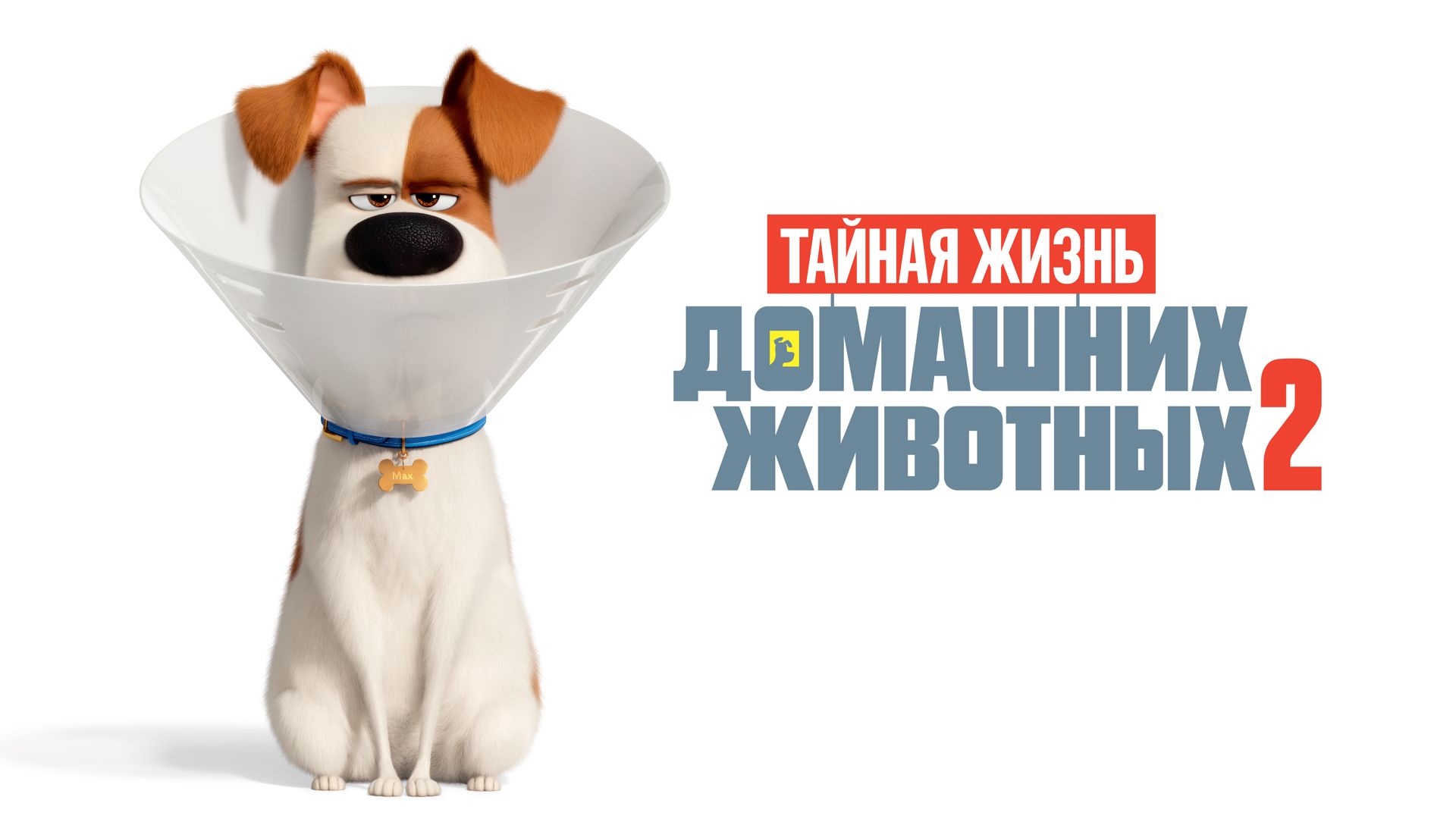 Мультфильм Тайная жизнь домашних животных 2 (2019) смотреть онлайн в  хорошем качестве Full HD (1080) на русском