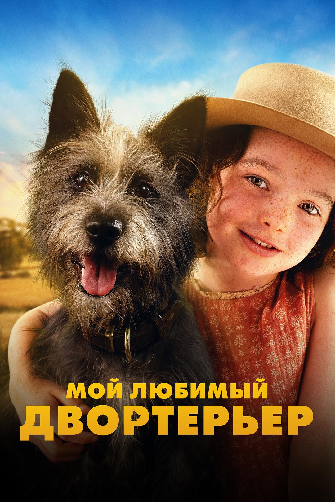 Мой любимый двортерьер