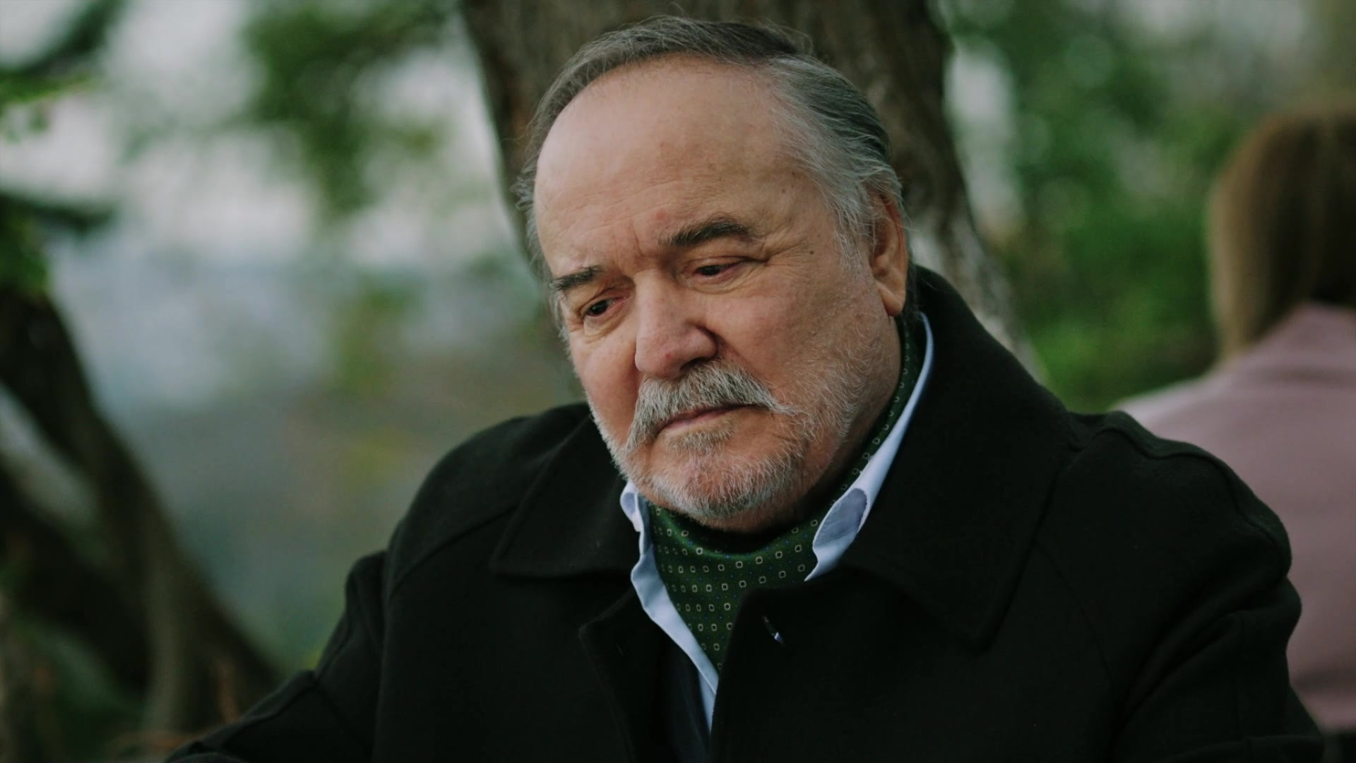 Зимородок 1 сезон 35 серия