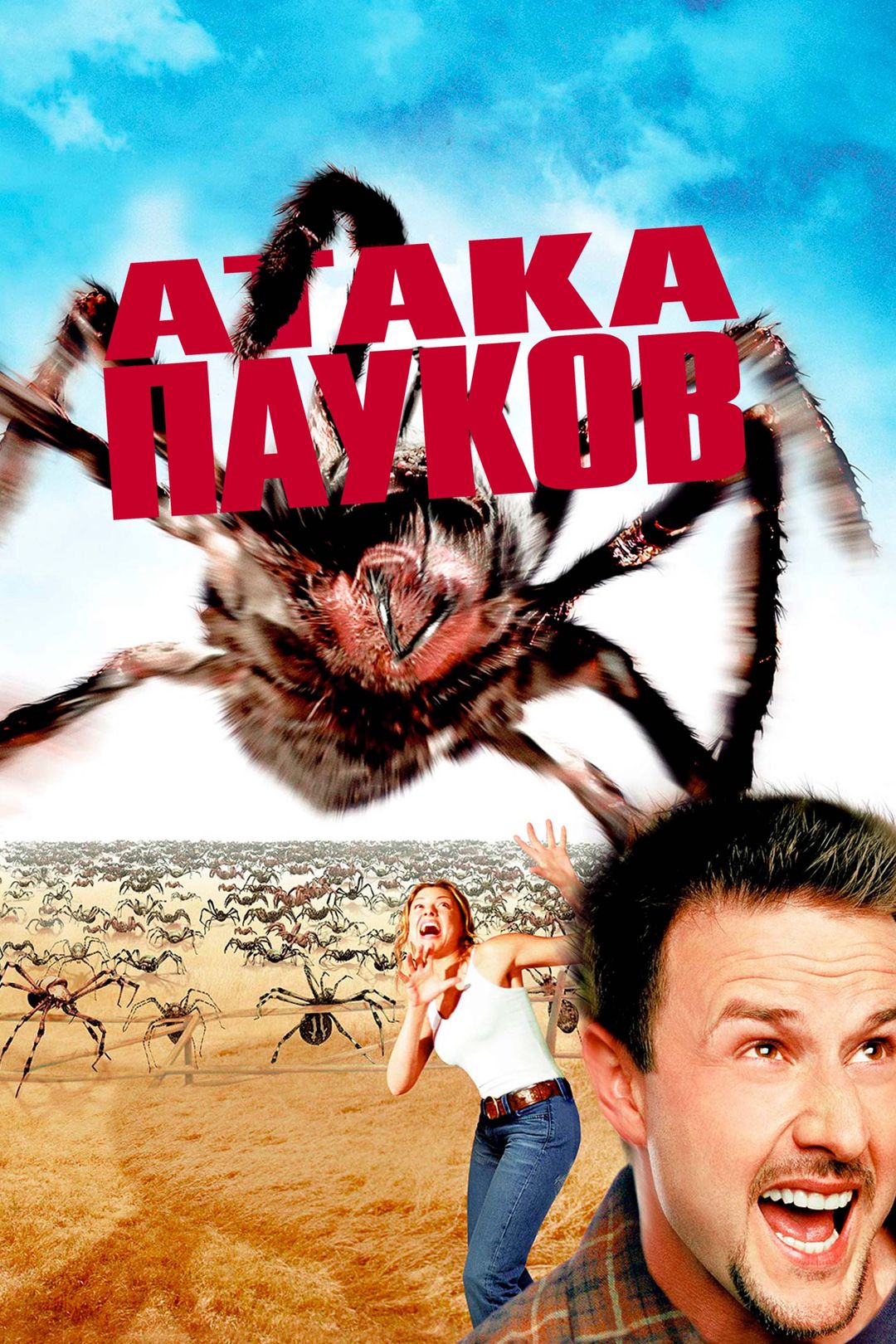 Атака пауков (фильм, 2002) смотреть онлайн в хорошем качестве