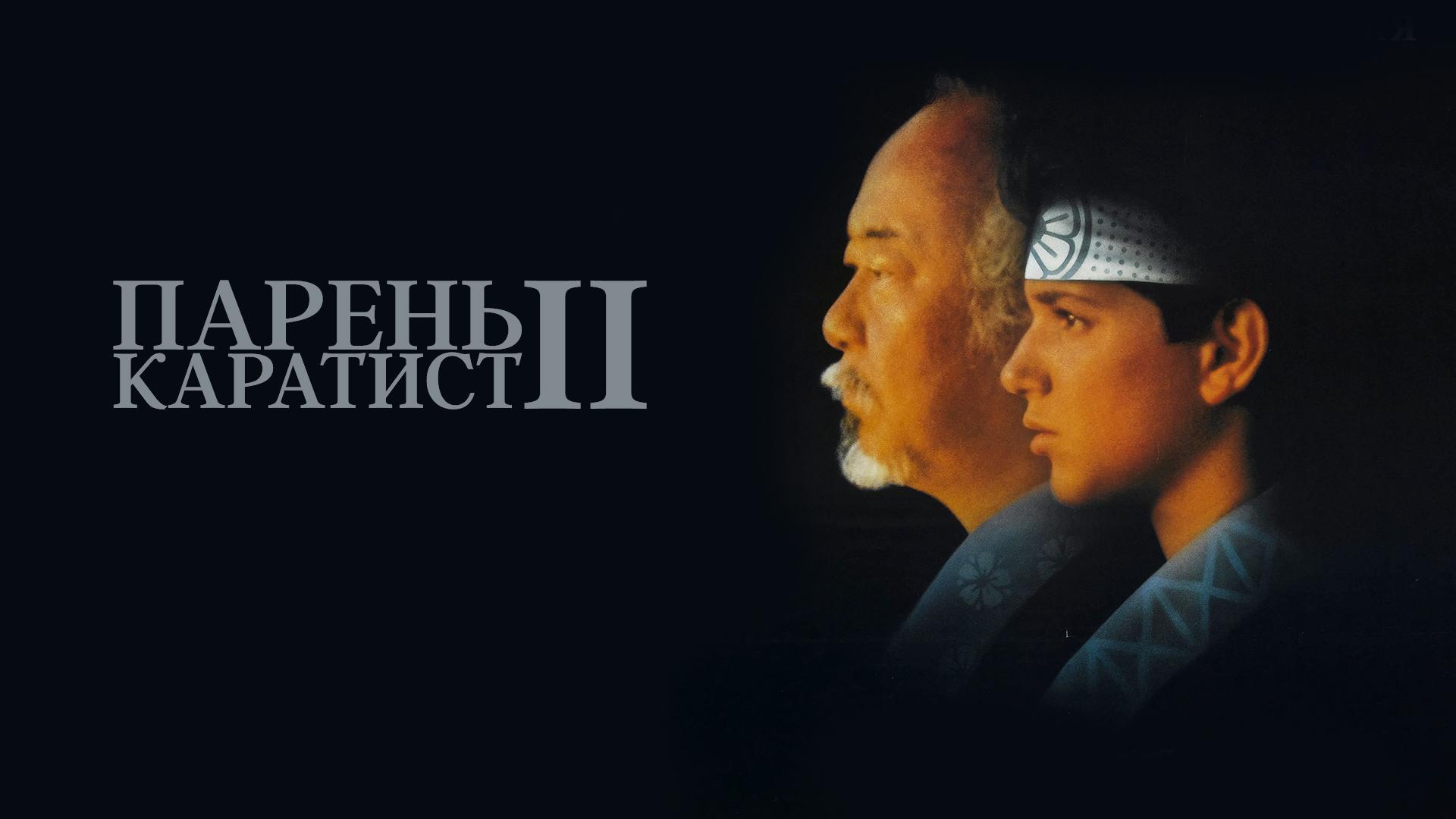 Парень-каратист 2