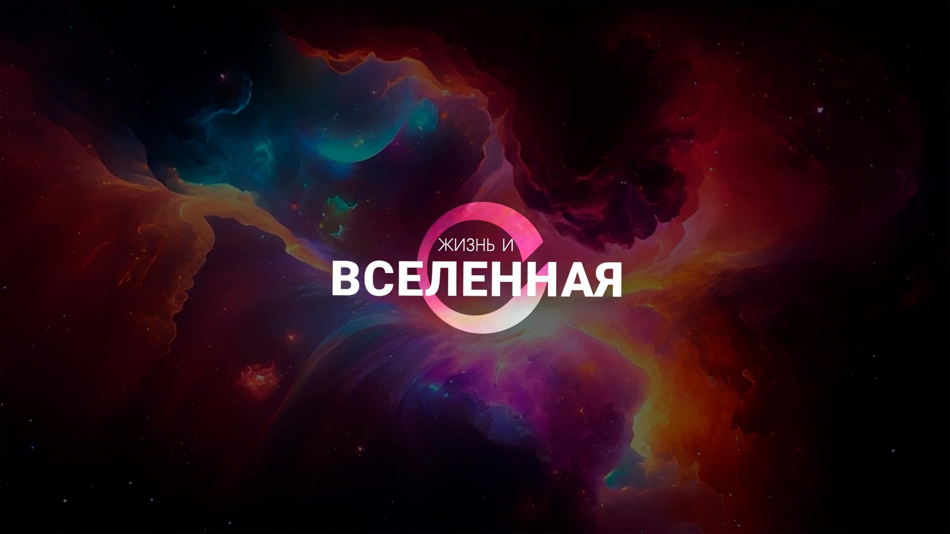 Жизнь и Вселенная