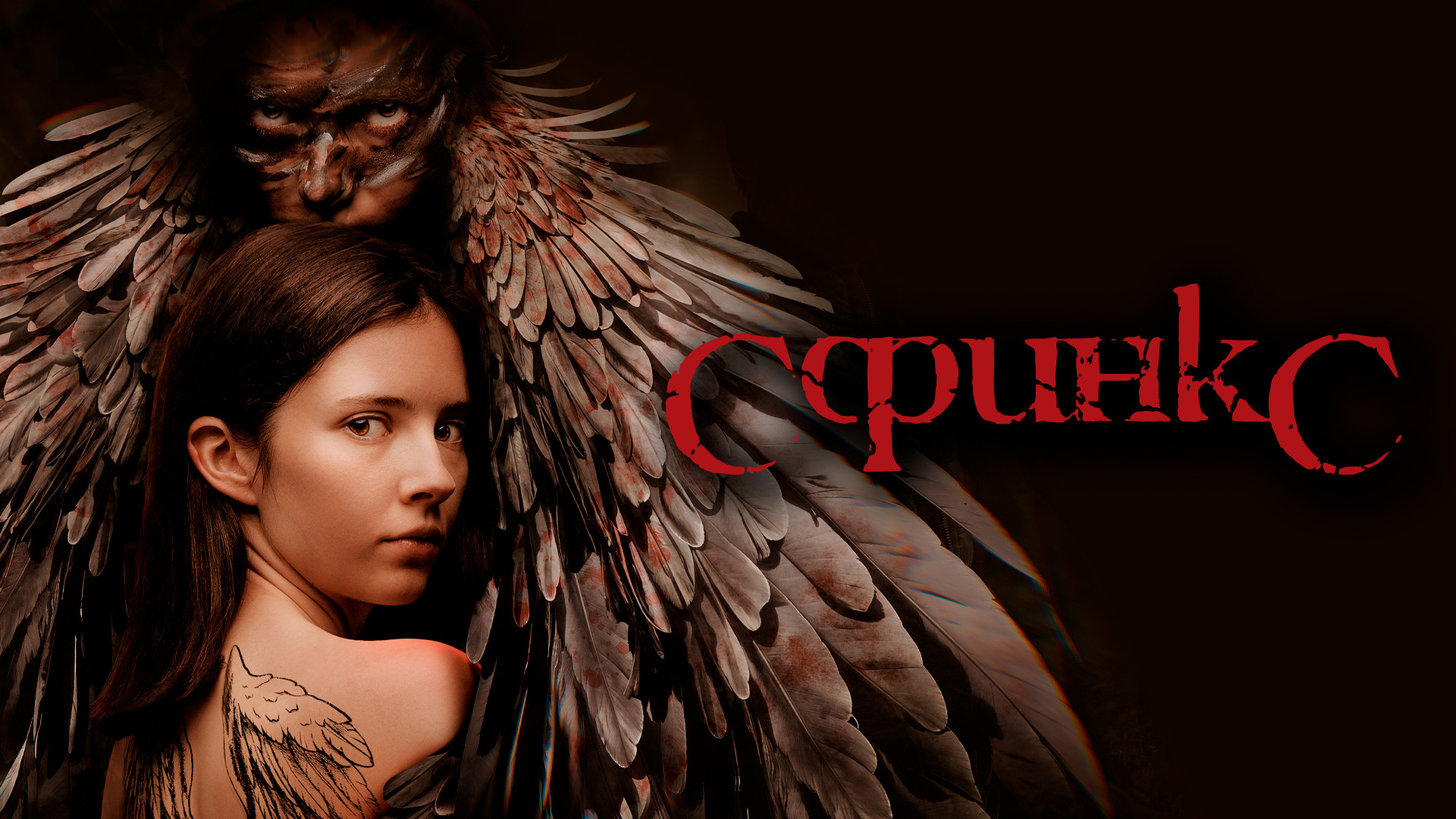 Лысые кошки. Cat front view. Сфинкс кошка. Кошки инопланетяне. Сфинкс триллер.