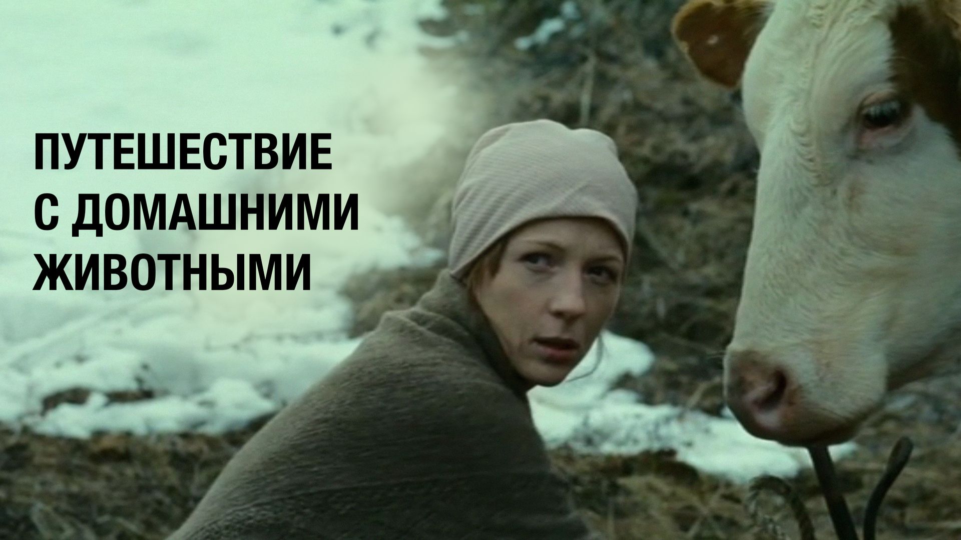 Путешествие с домашними животными (фильм, 2007) смотреть онлайн в хорошем  качестве