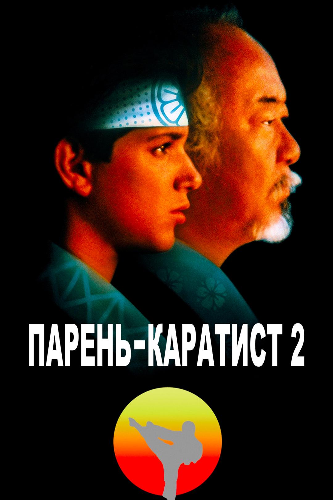 Парень-каратист 2