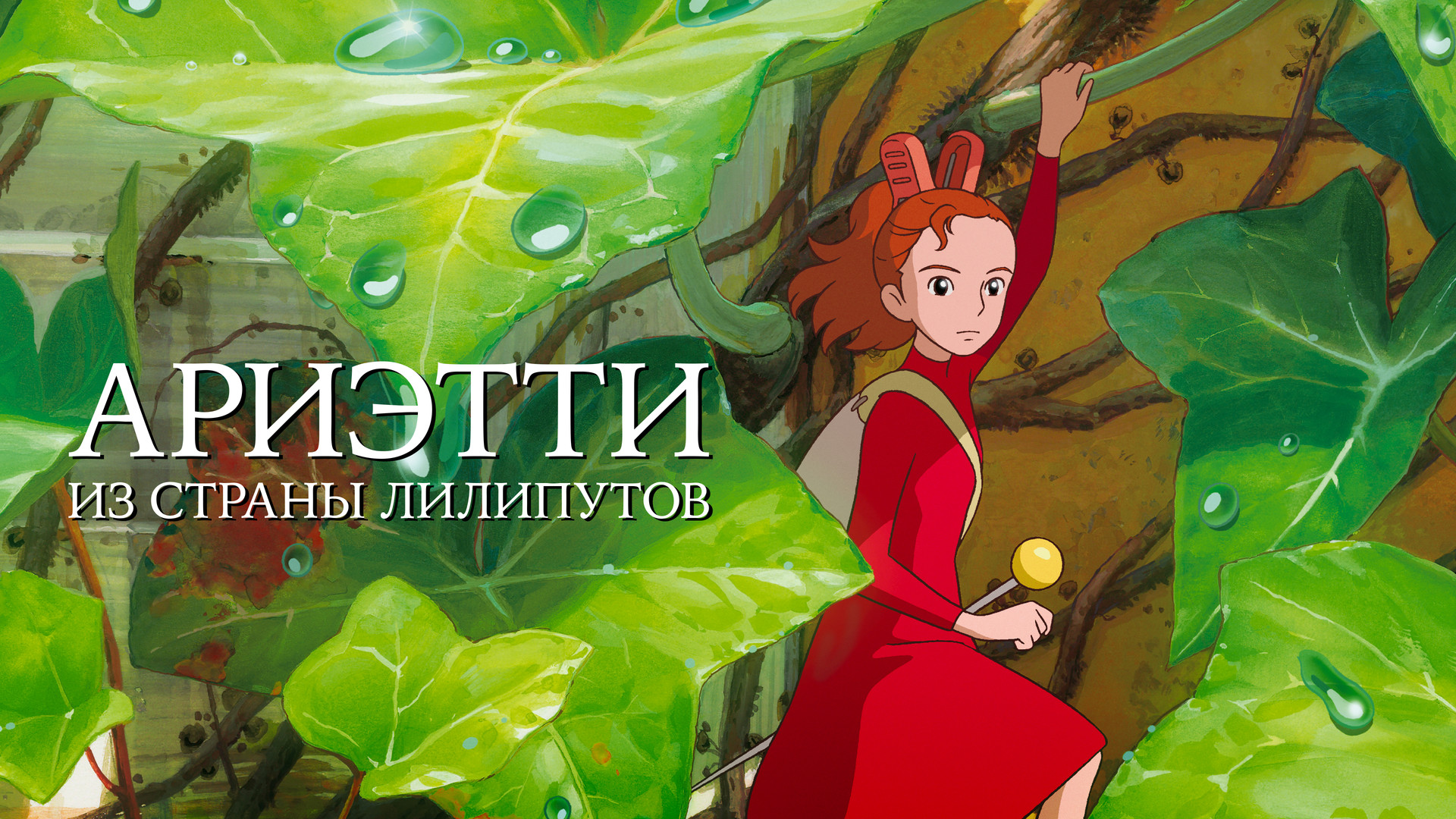 Хаяо Миядзаки и студия Ghibli смотреть онлайн в хорошем качестве в Okko.  Список лучших фильмов и сериалов