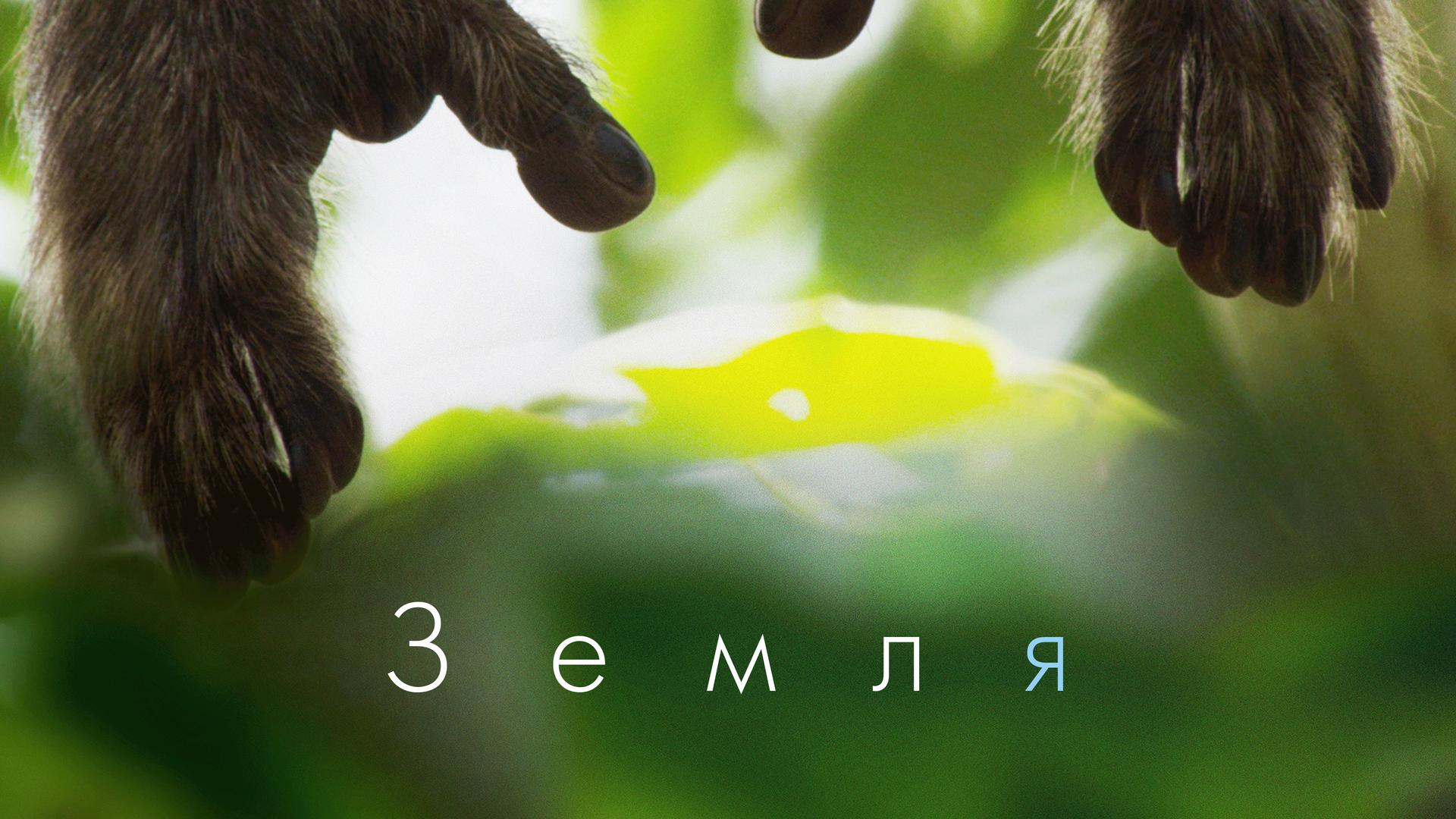 Земля