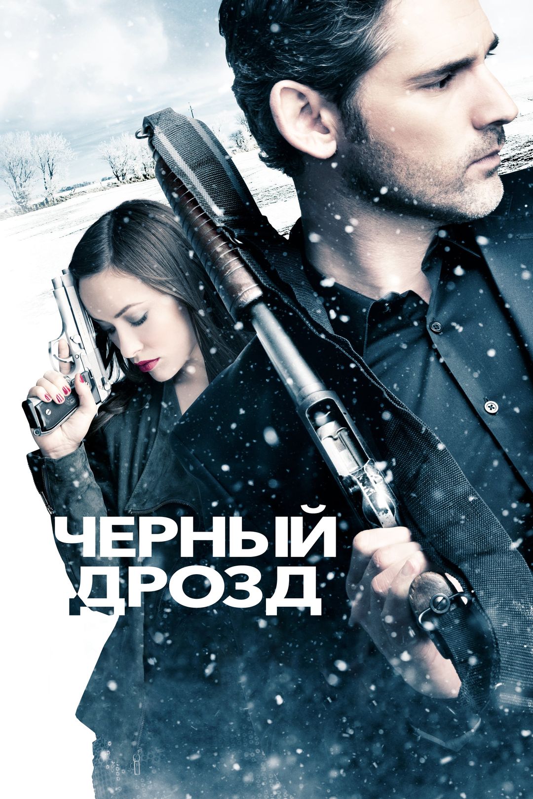 Черный дрозд (фильм, 2012) смотреть онлайн в хорошем качестве HD (720) /  Full HD (1080)