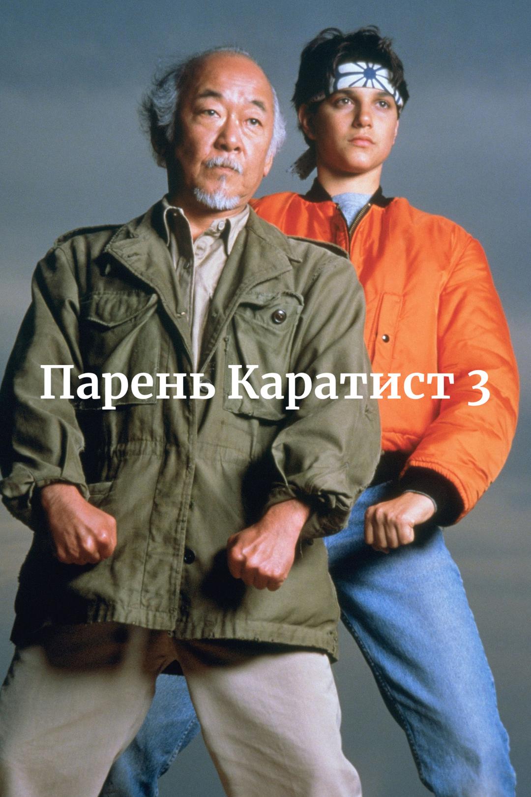 Парень-каратист 3