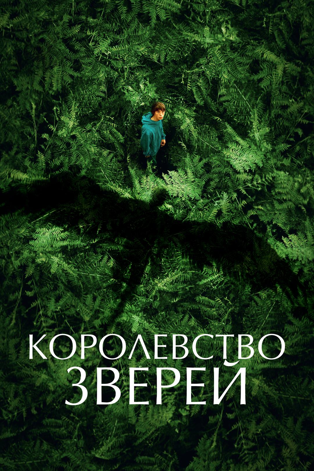 Королевство зверей