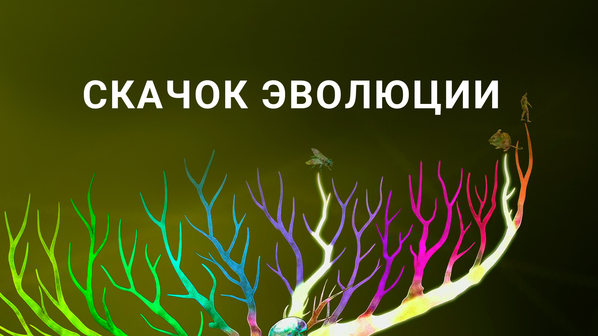 Эволюционный скачок. Эволюционные скачки. Пример эволюционного скачка. Эволюционные скачки. Эволюция человека от обезьяны до человека.